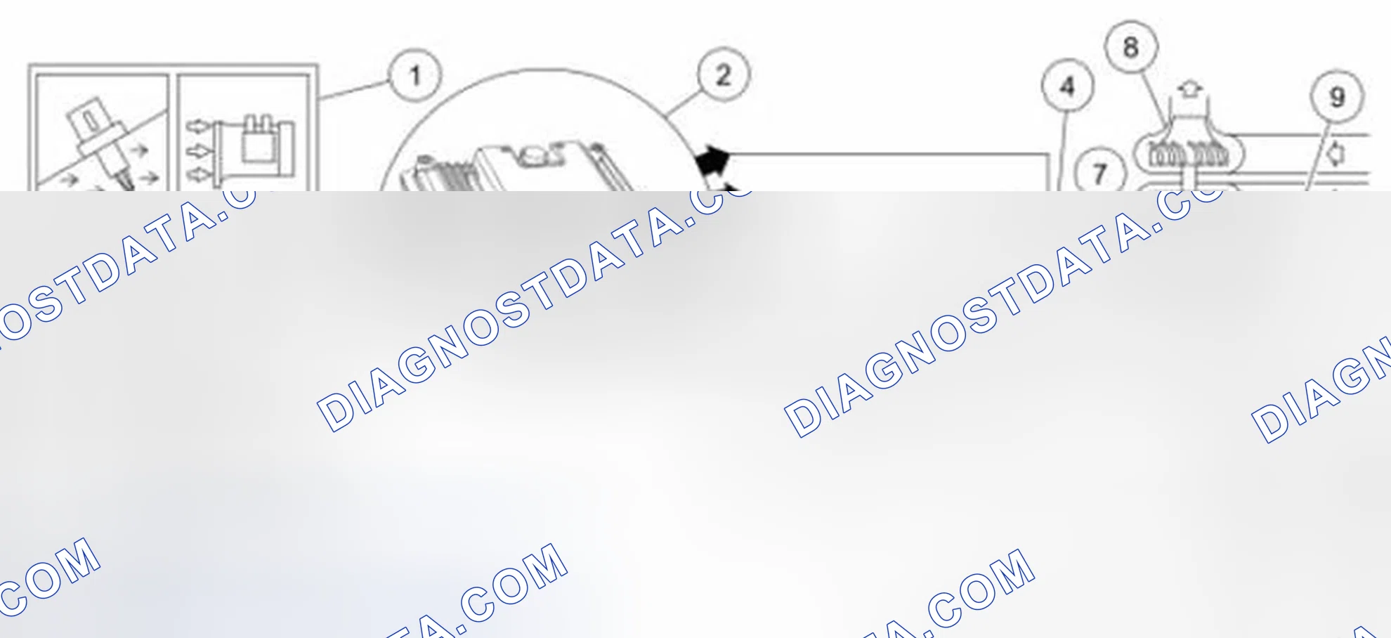 Scheme 79: Enhanced Evaporative Emission (EVAP) System