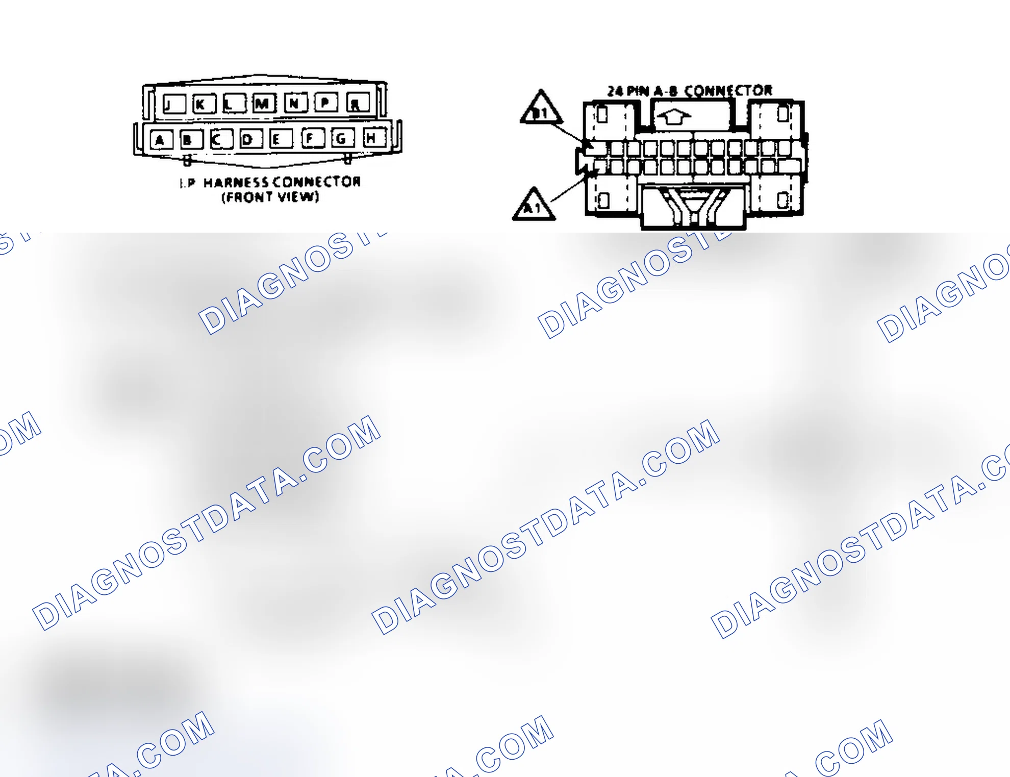 Scheme 544: Schematic C3, Canister Purge Check (All Engines)
