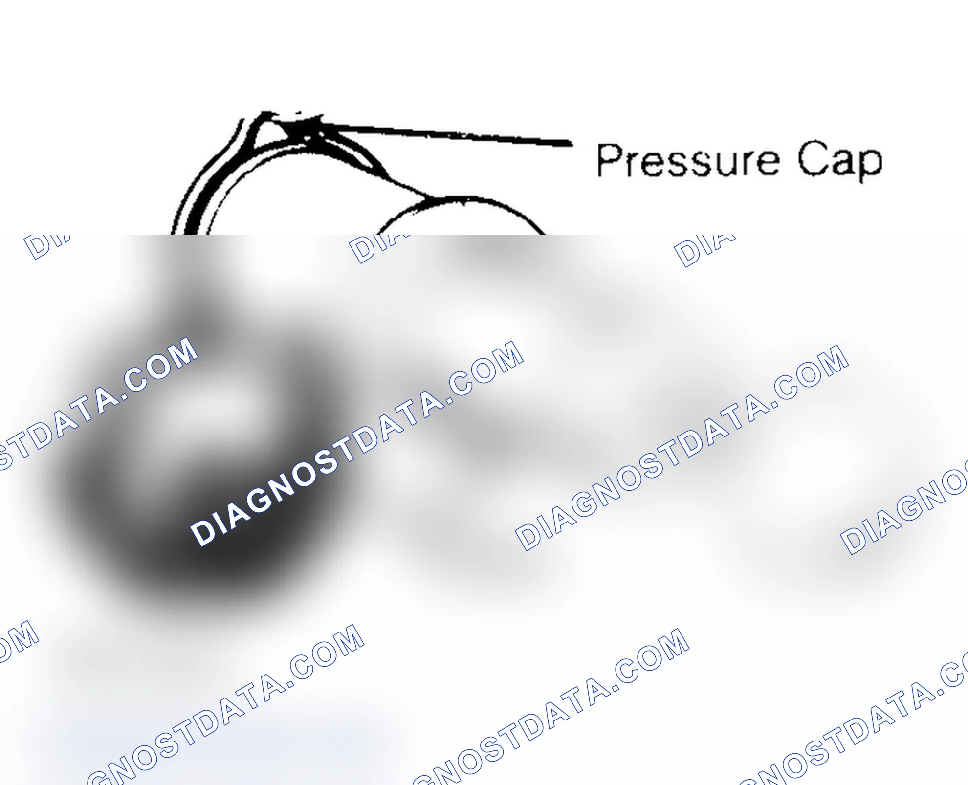 Scheme 2: Pressure Testing Radiator Cap