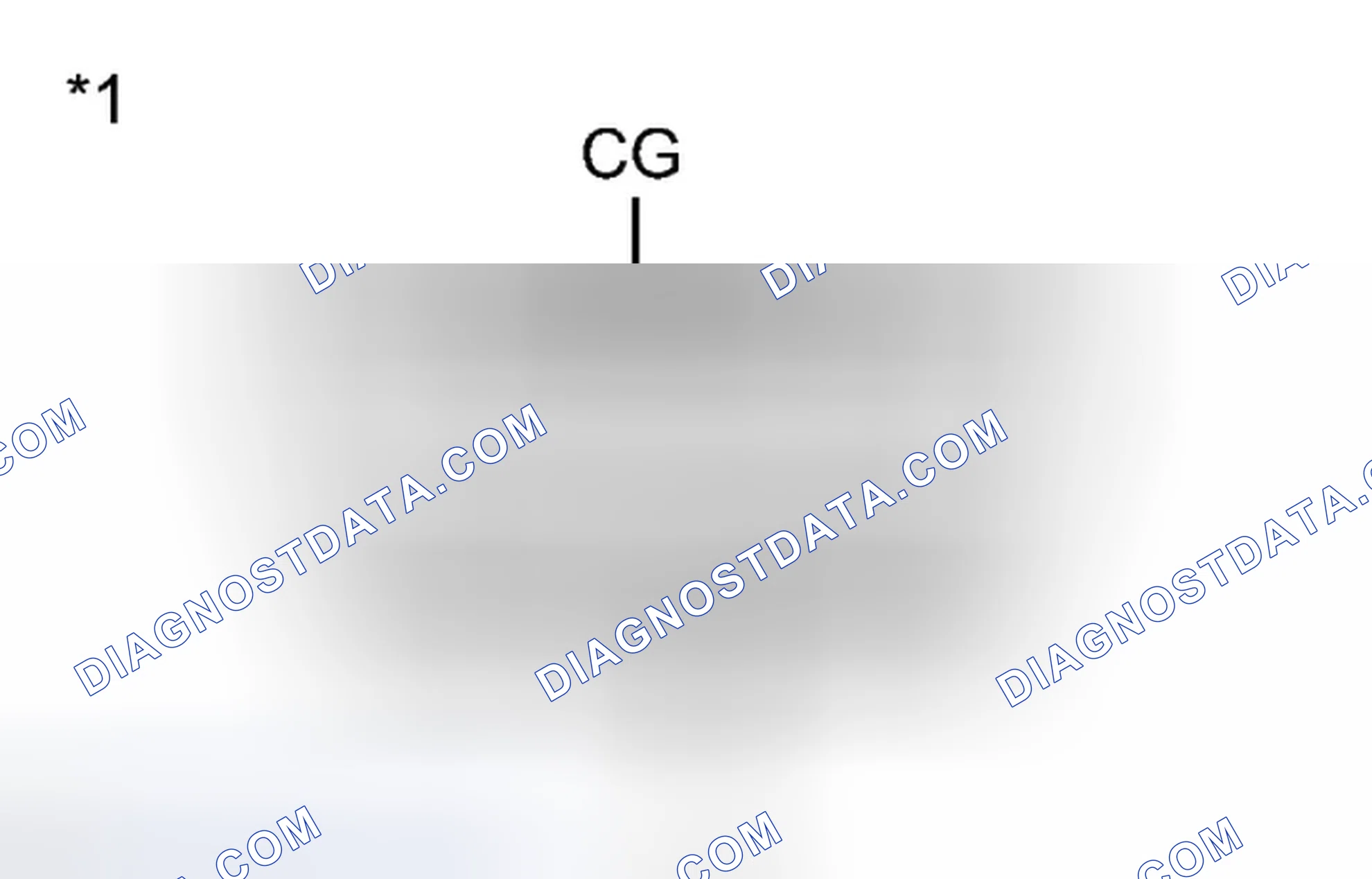 Scheme 5: DTC CHECK / CLEAR