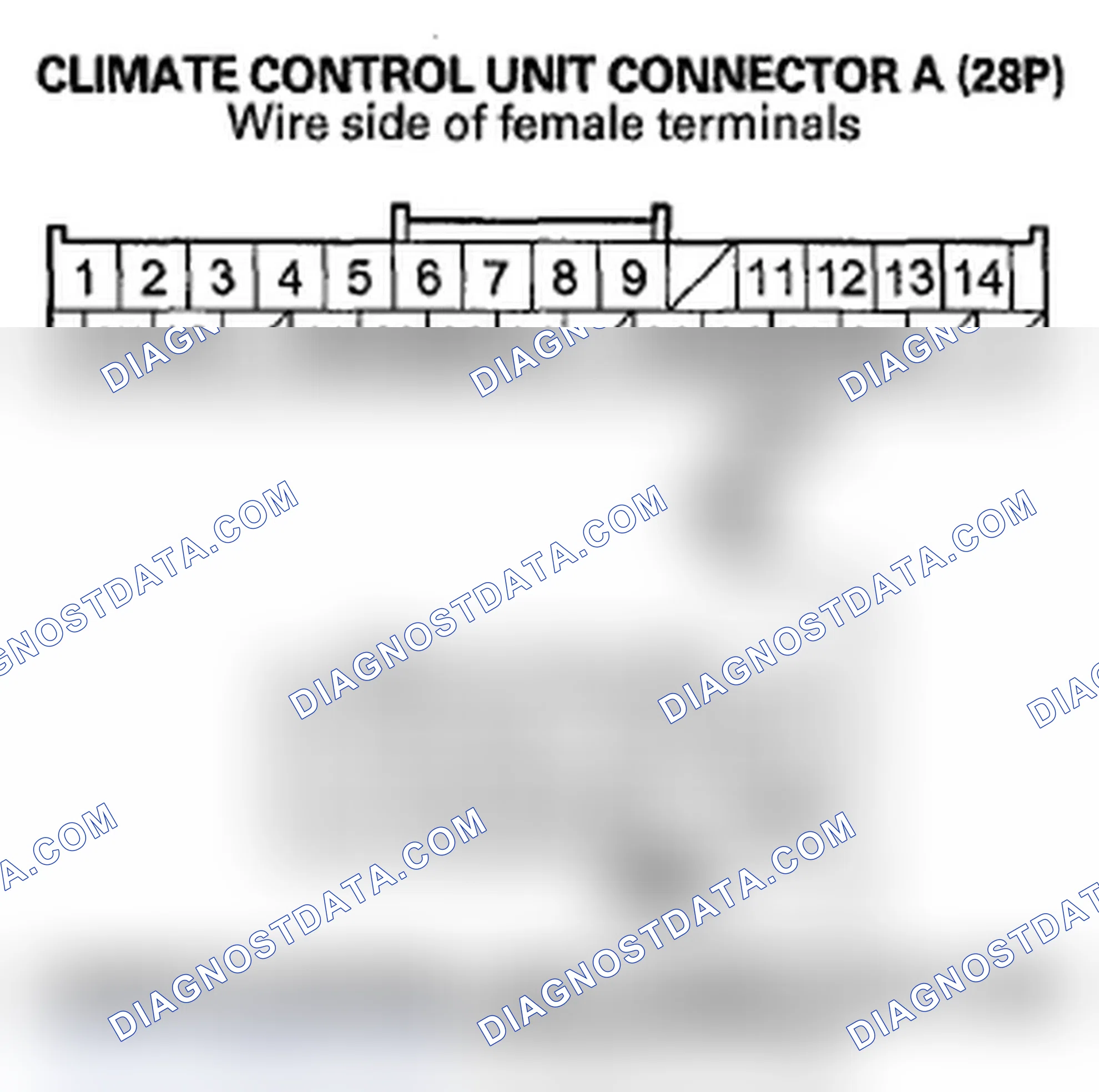 Scheme 244