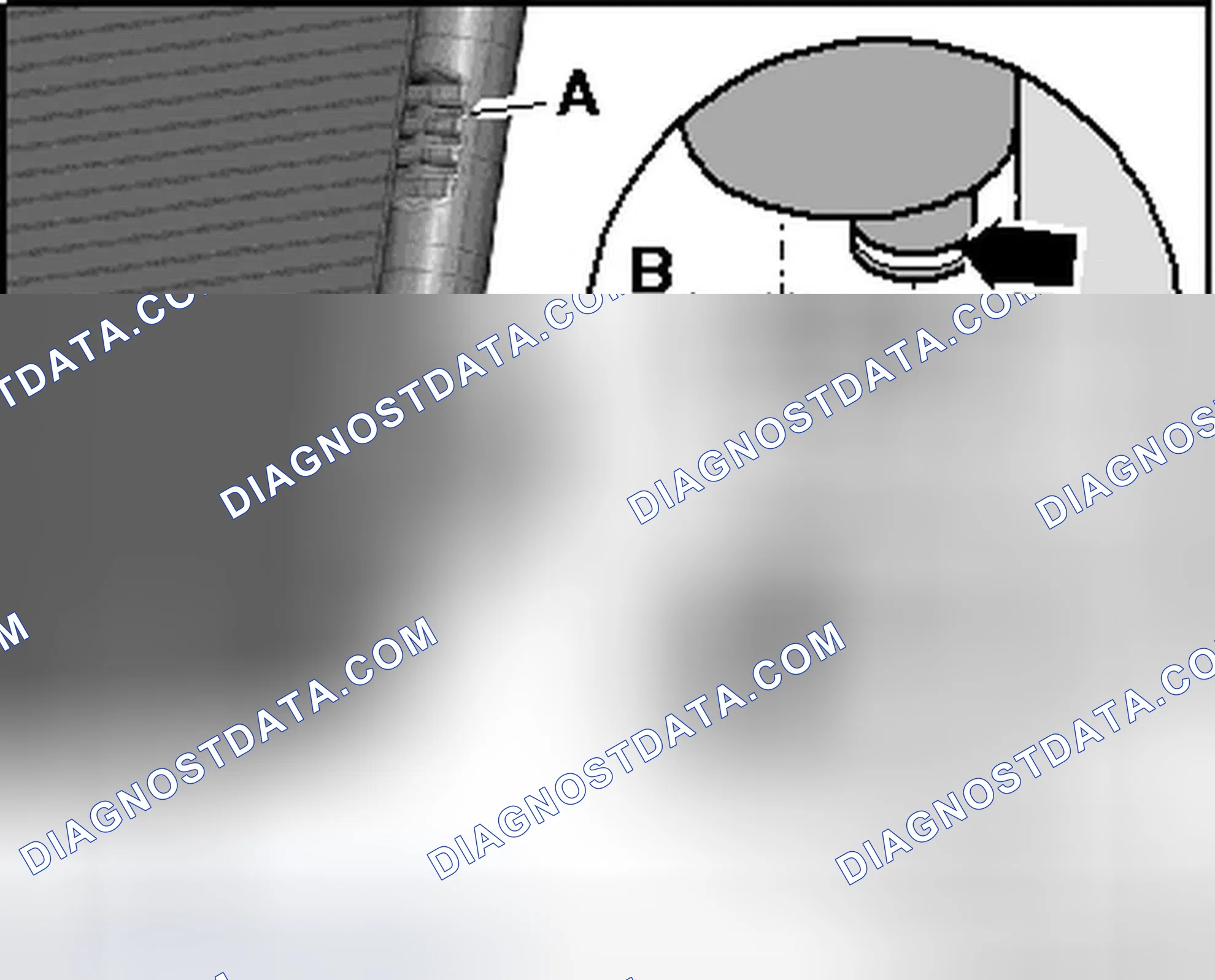 Scheme 5