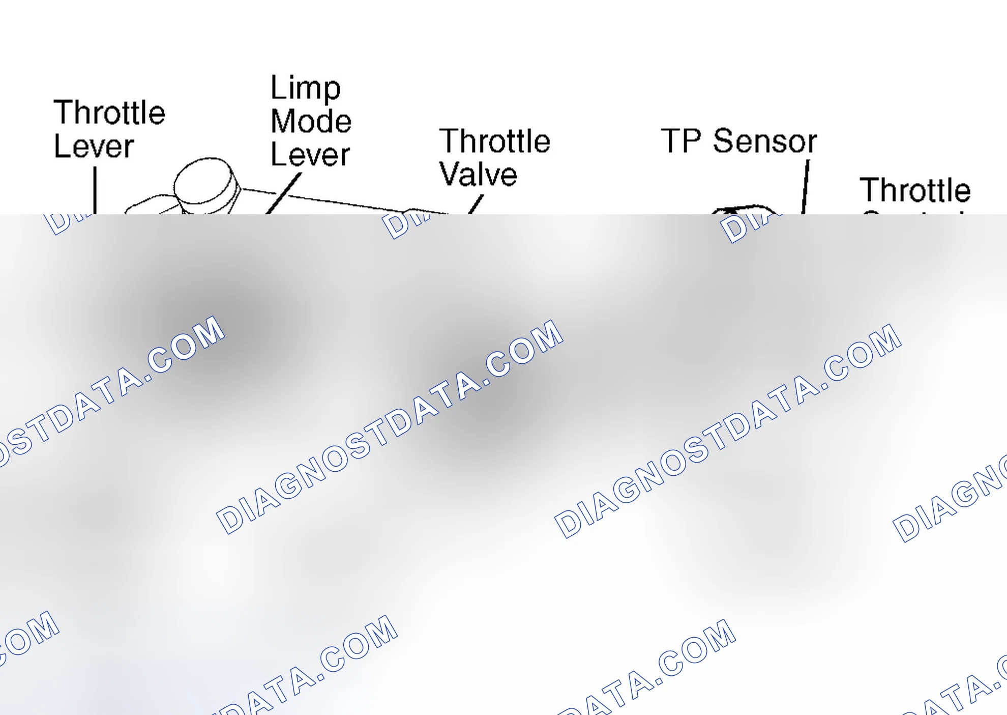 Scheme 14: Tacoma 3.4L V6 (W/ETCS) & Tundra 3.4L V6
