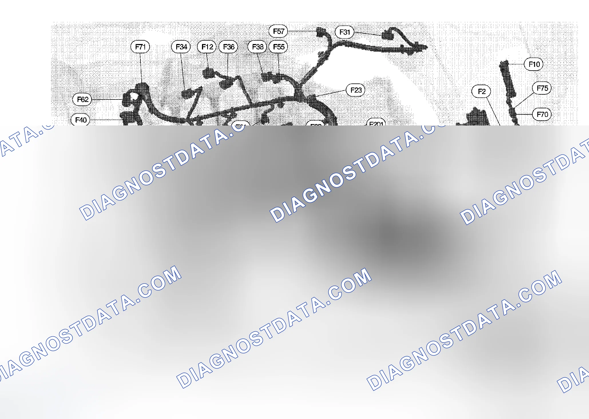 Scheme 5