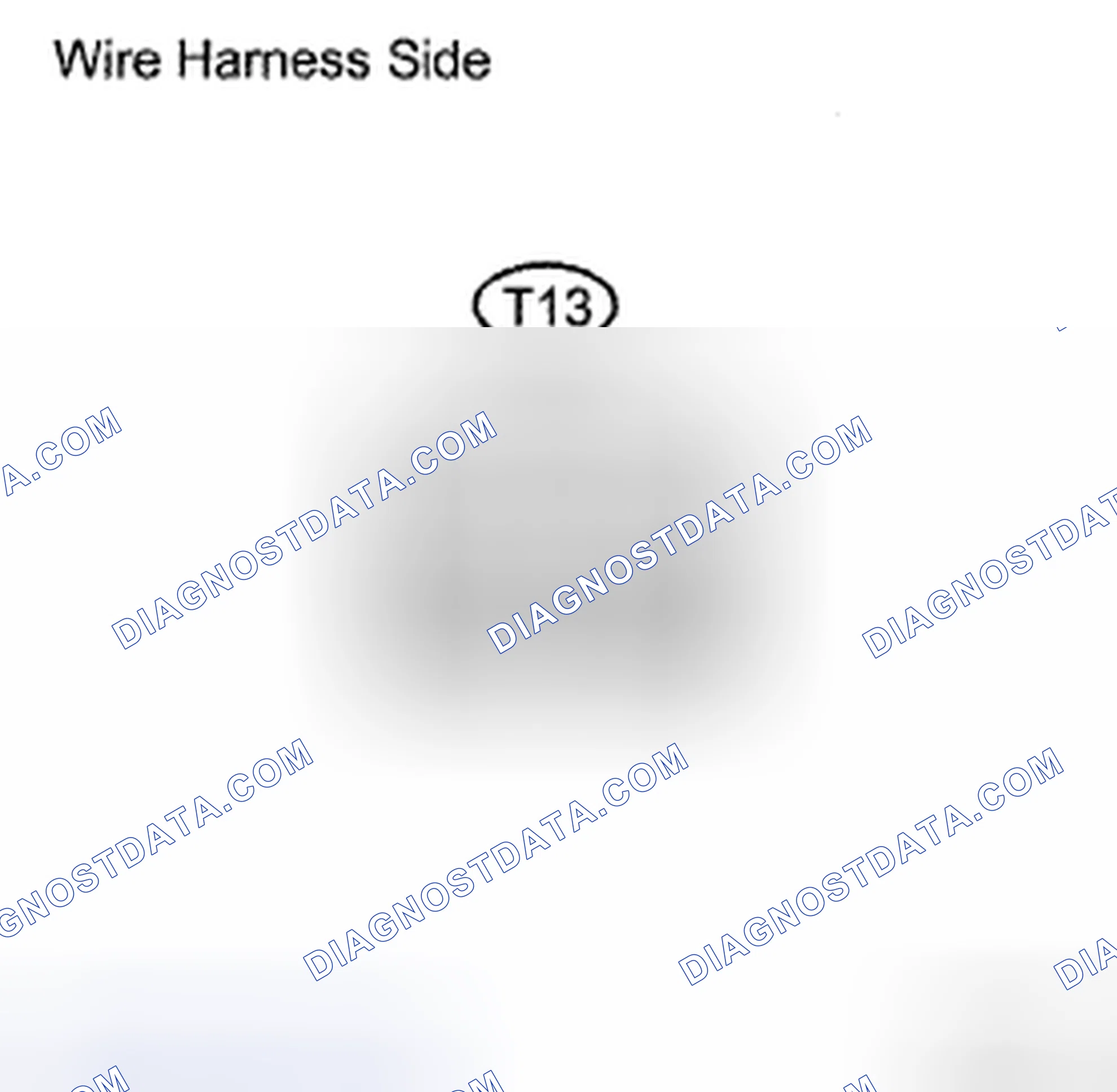 Scheme 14: INSPECTION PROCEDURE