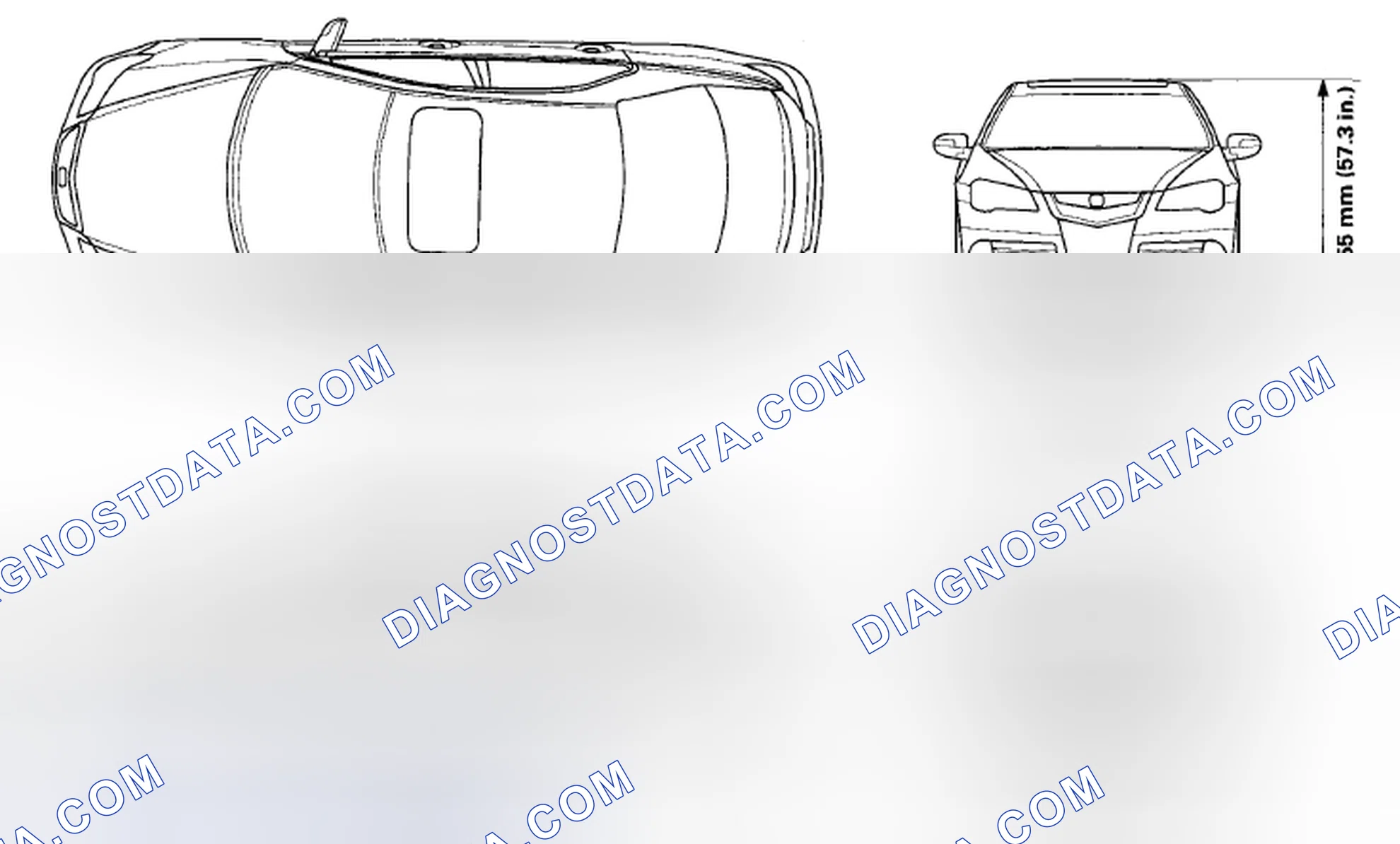 Scheme 1: Body Specifications