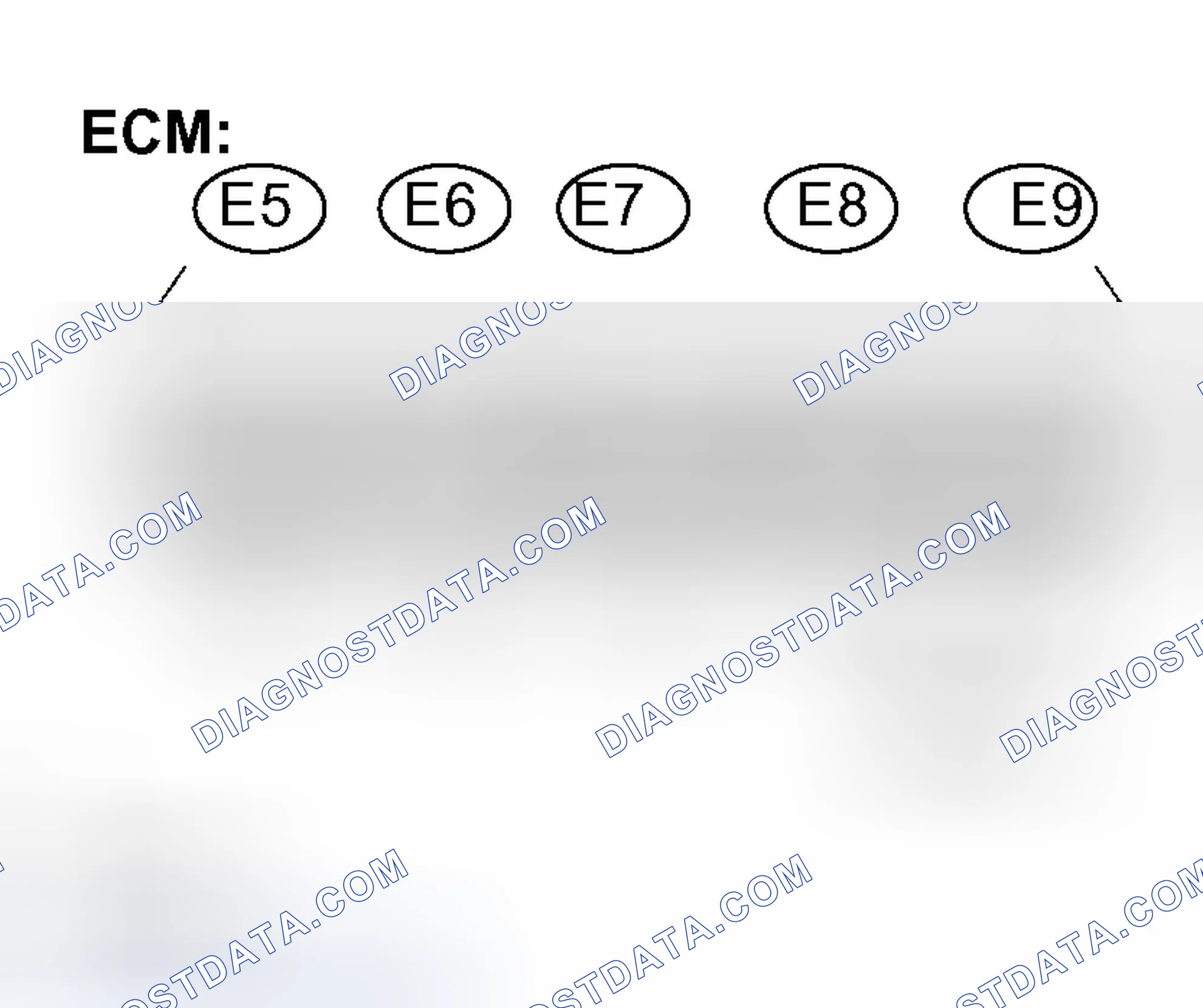 Scheme 220
