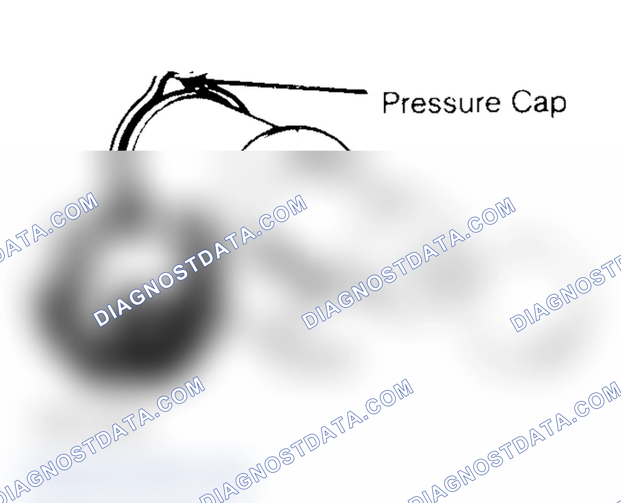 Scheme 2: Pressure Testing Radiator Cap