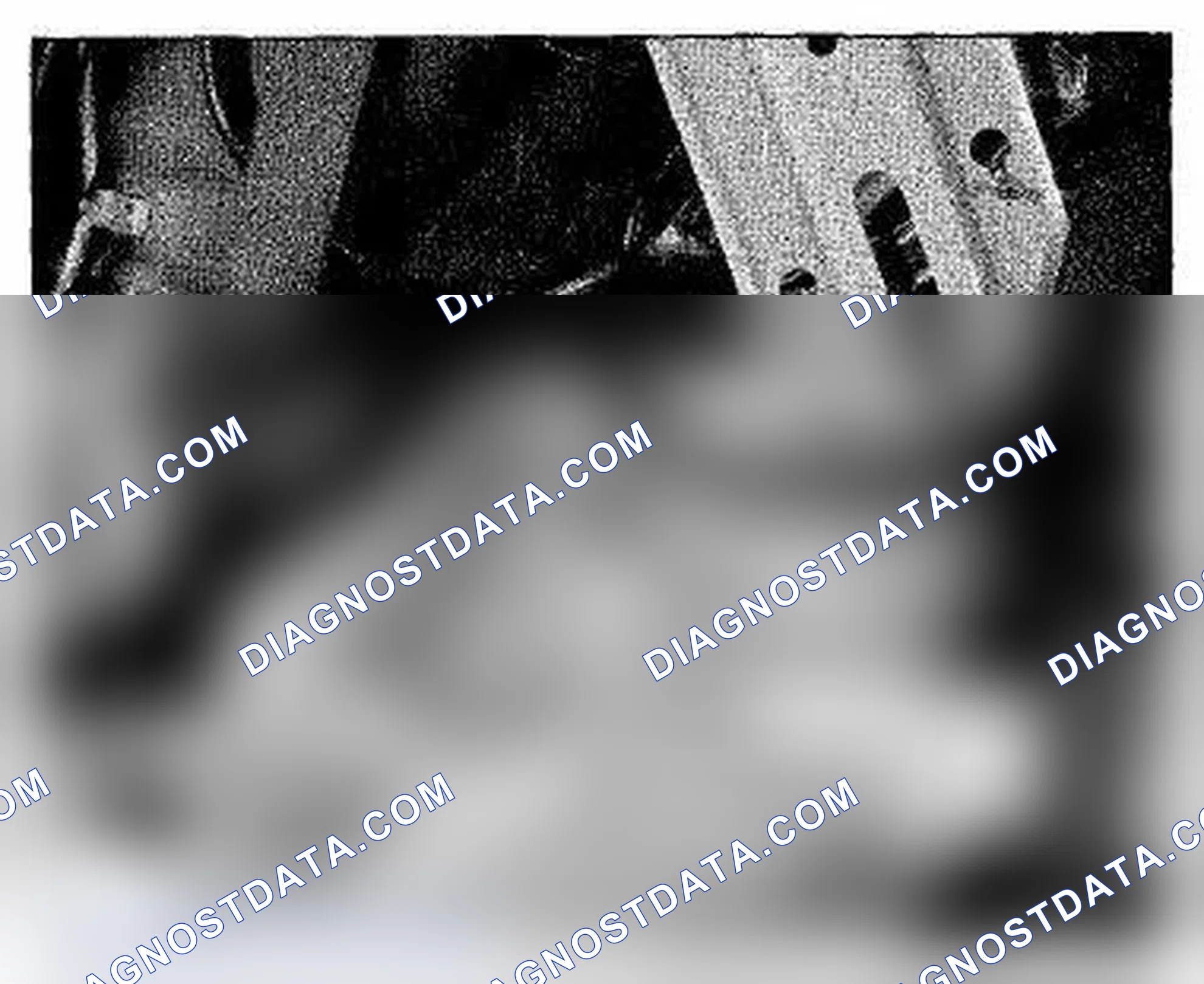 Scheme 1216: Right Rear Of Floor (SH-AWD) Component Location (Photo 207)