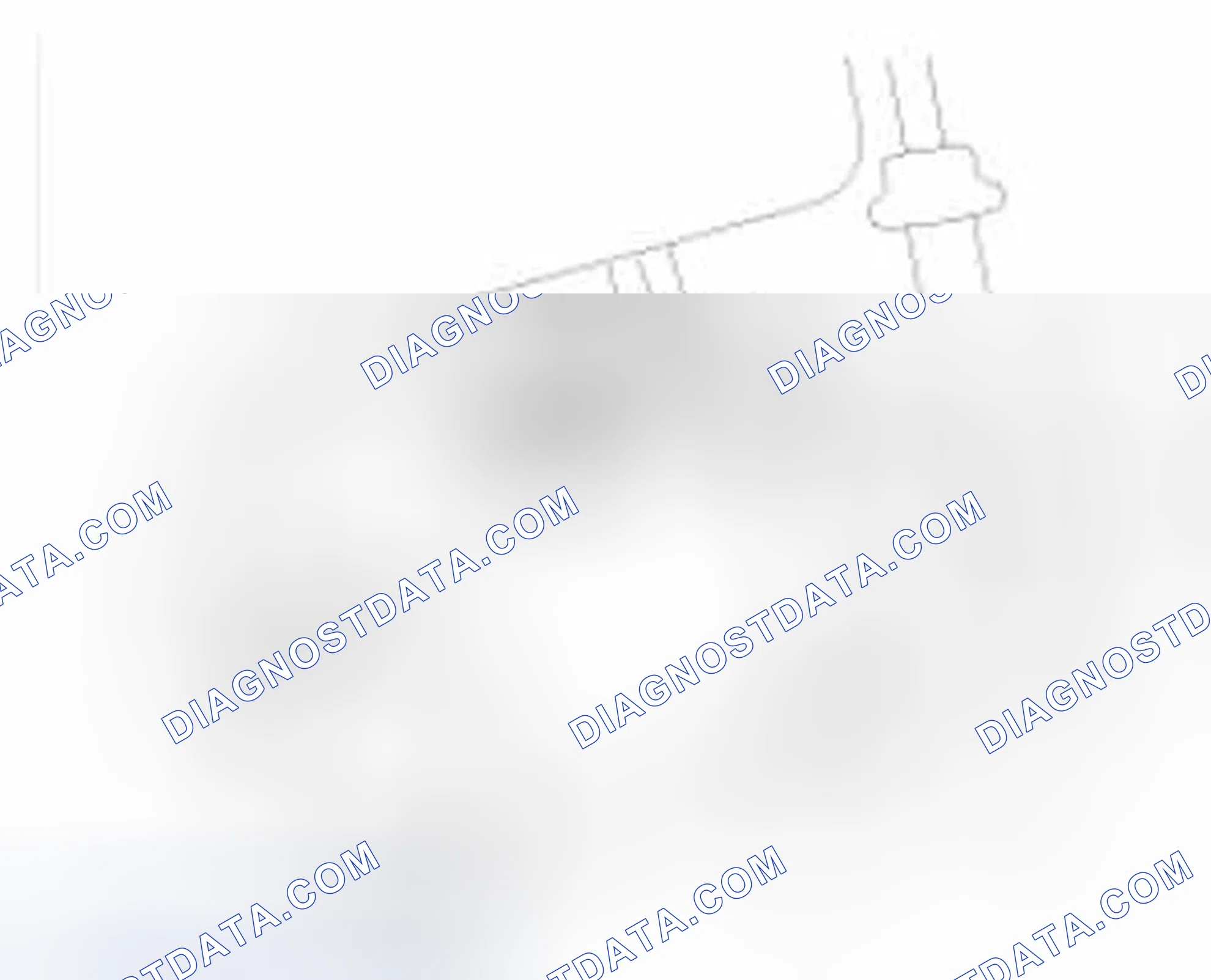 Scheme 165