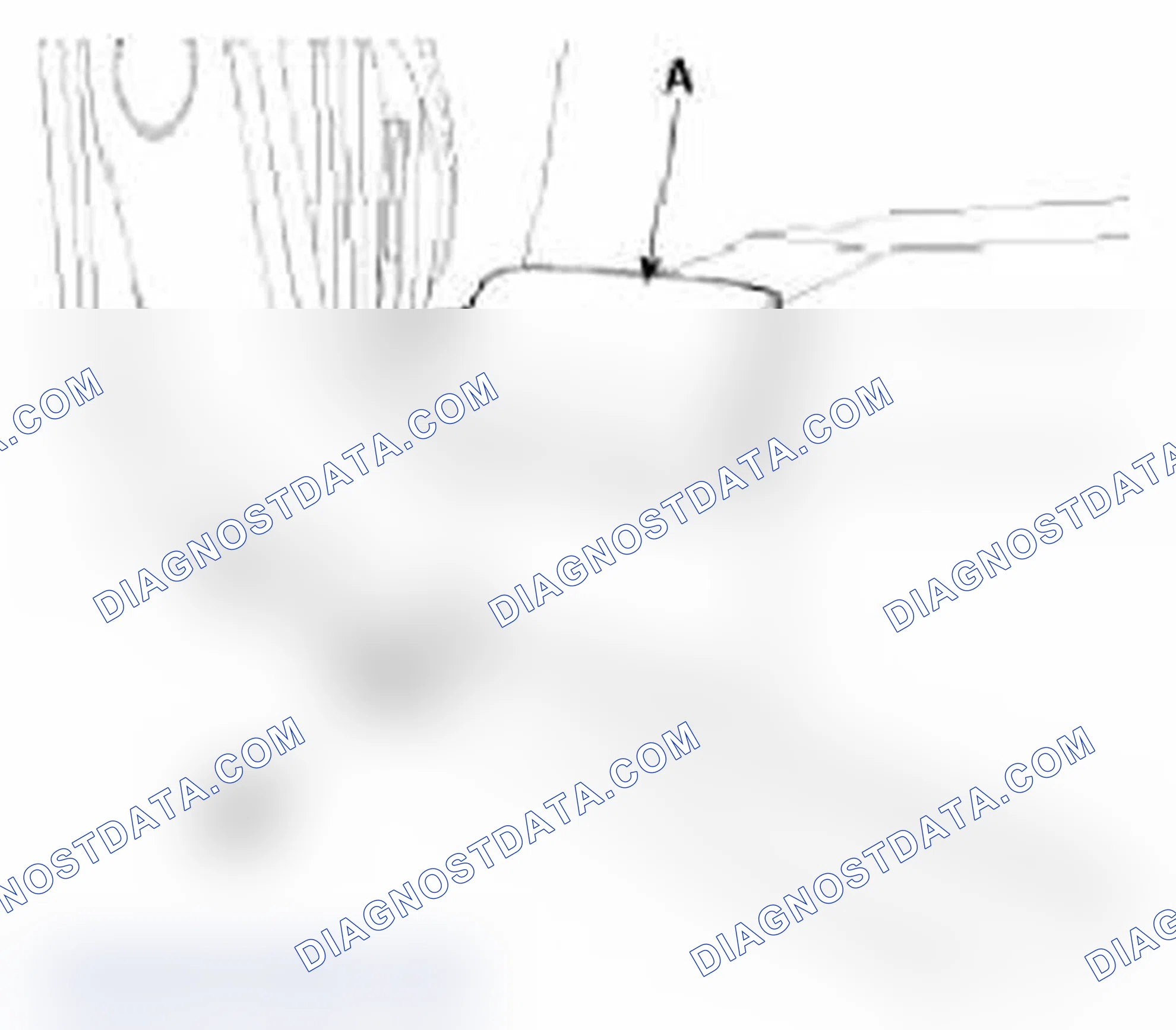 Scheme 37: (LH)