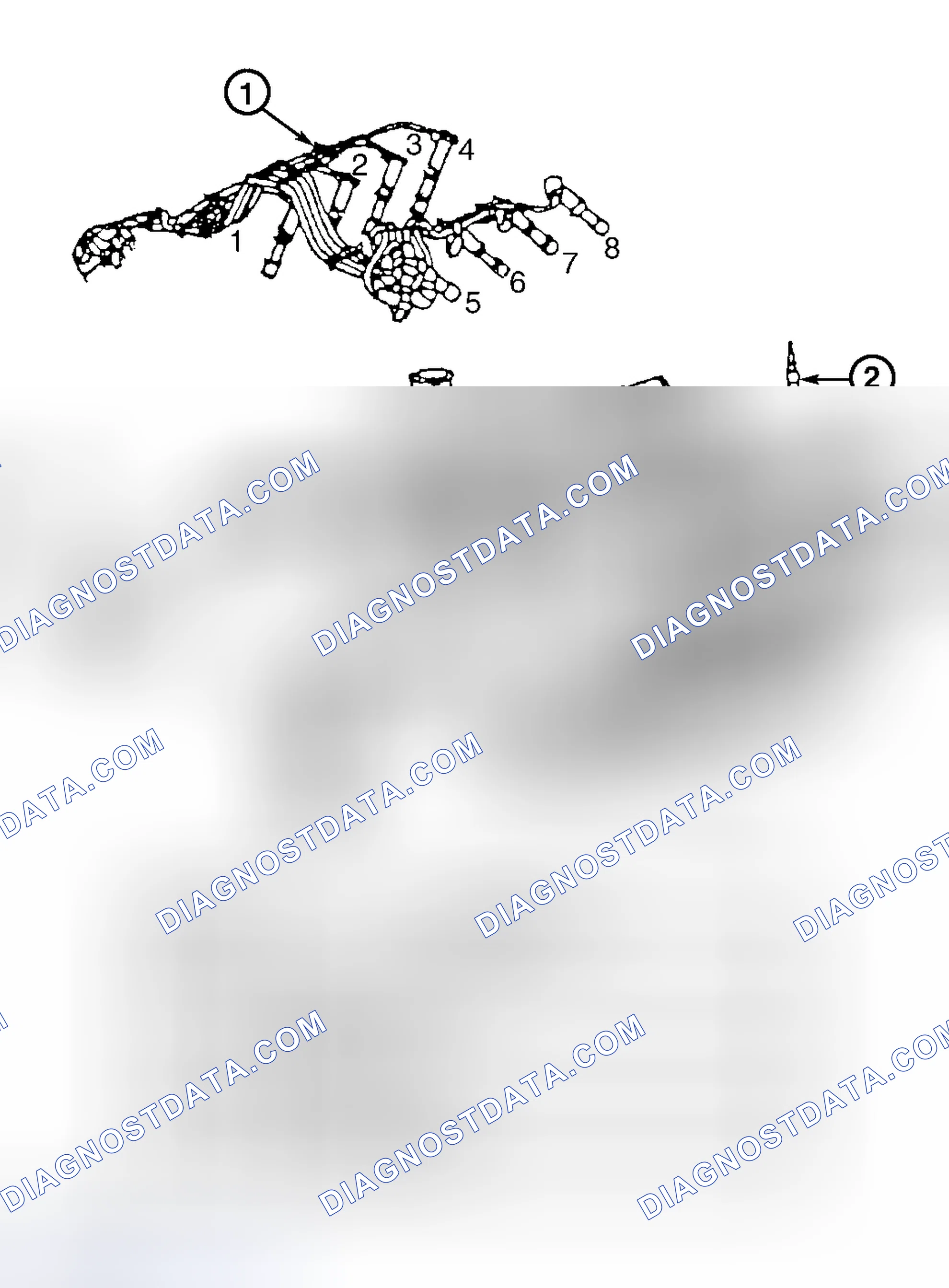 Scheme 15: Spark Plug Wire Routing (4.6L With Light-Duty Emissions)