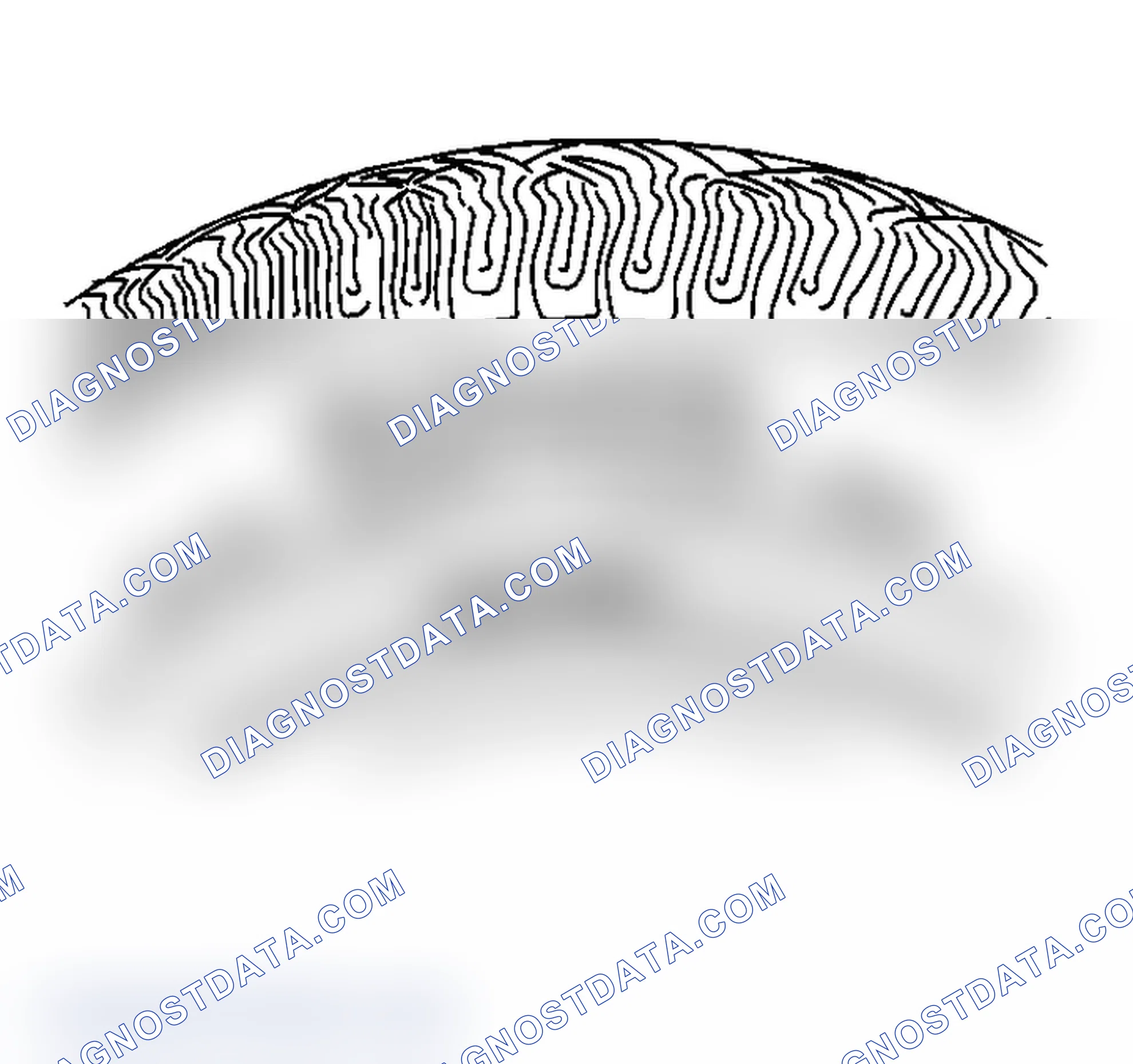 Scheme 3: Tire and Wheel Inspection