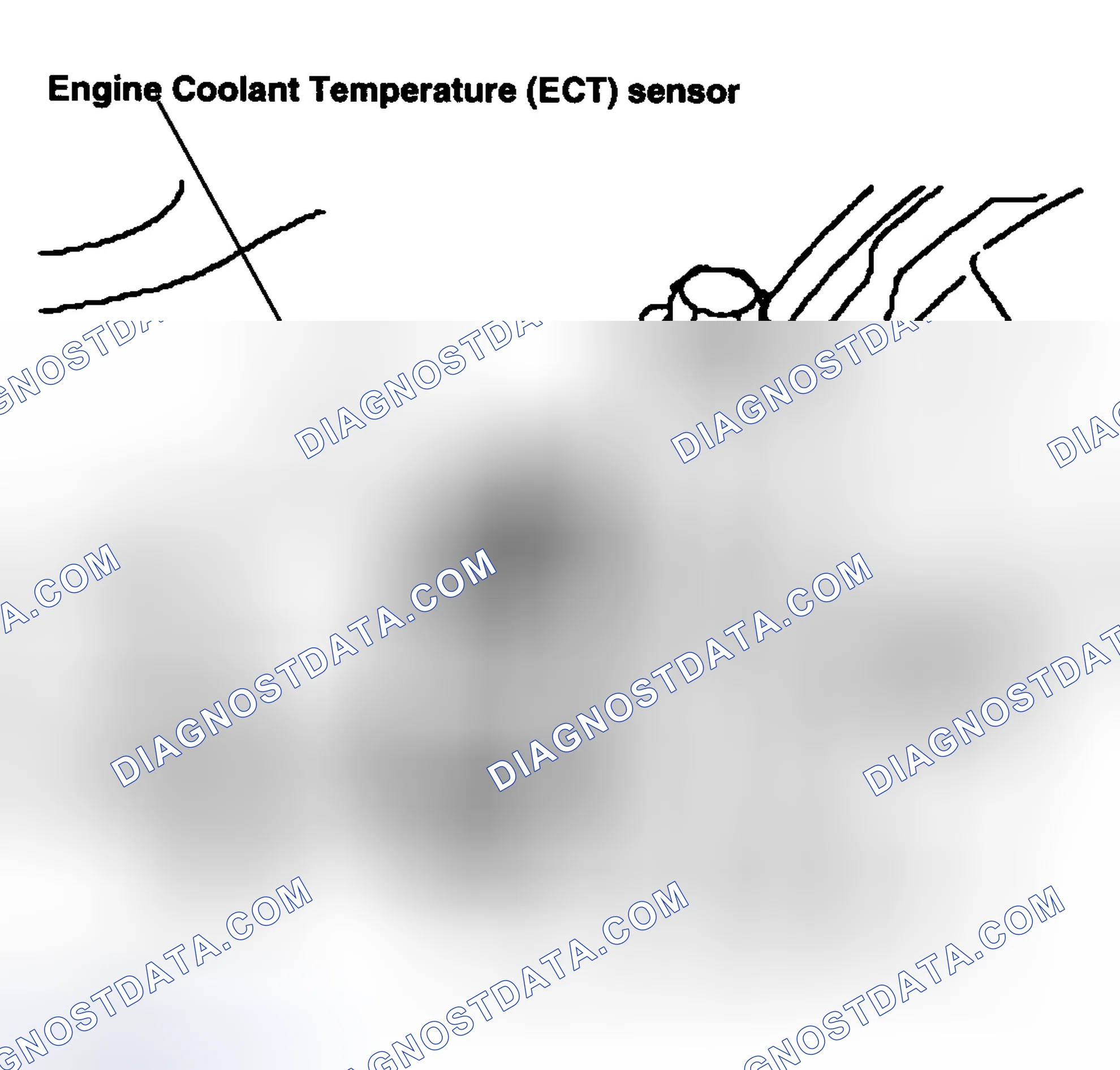 Scheme 36: Engine Coolant Temperature (ECT) Sensor