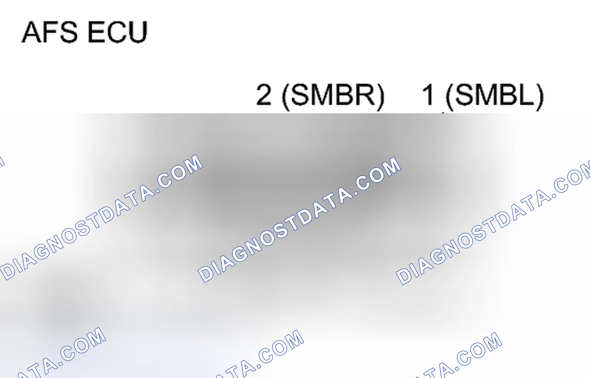 Scheme 205