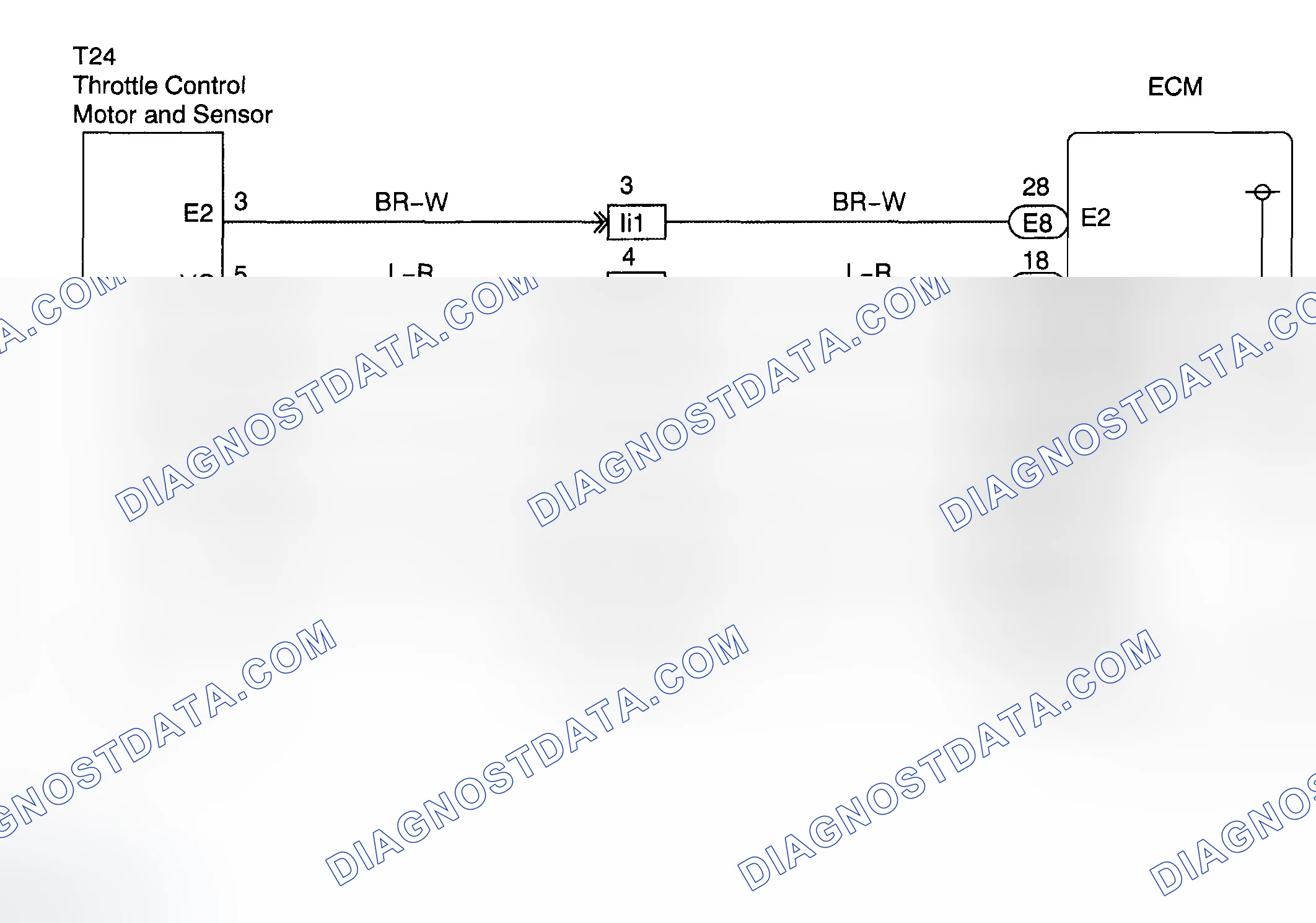 Scheme 507: WIRING DIAGRAM