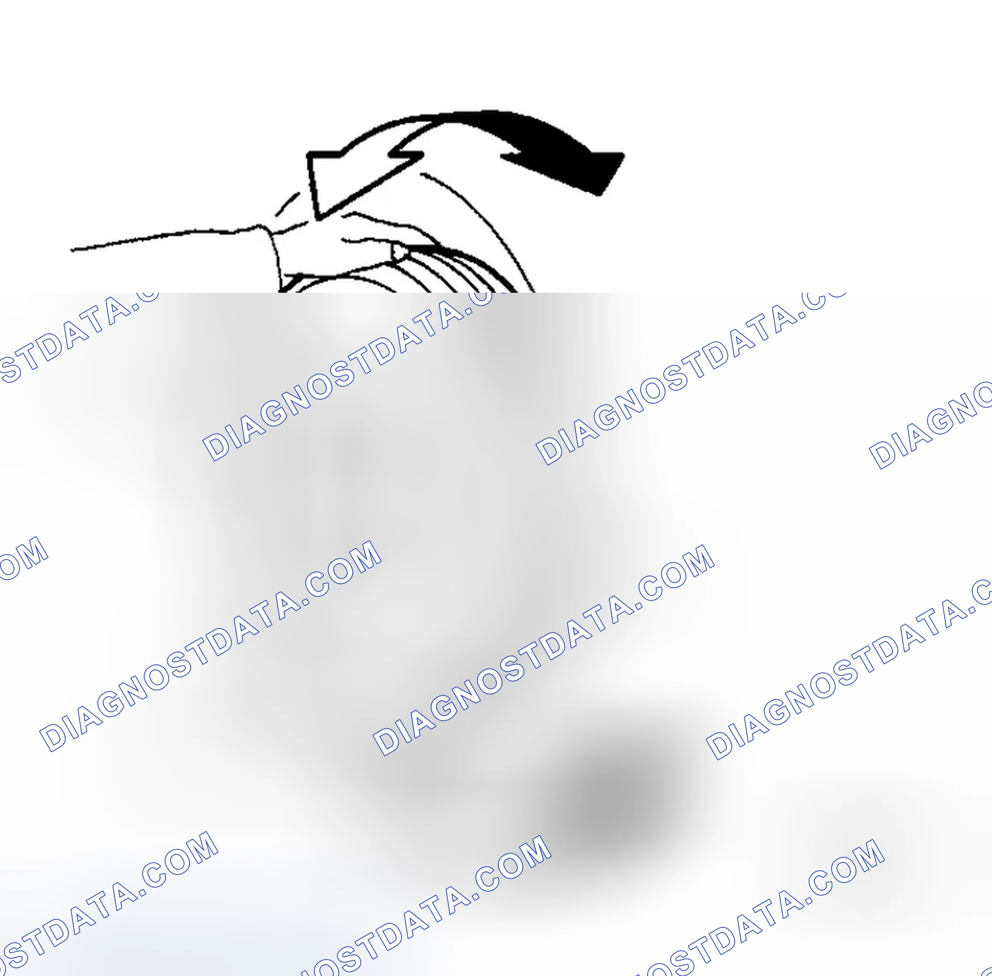 Scheme 53