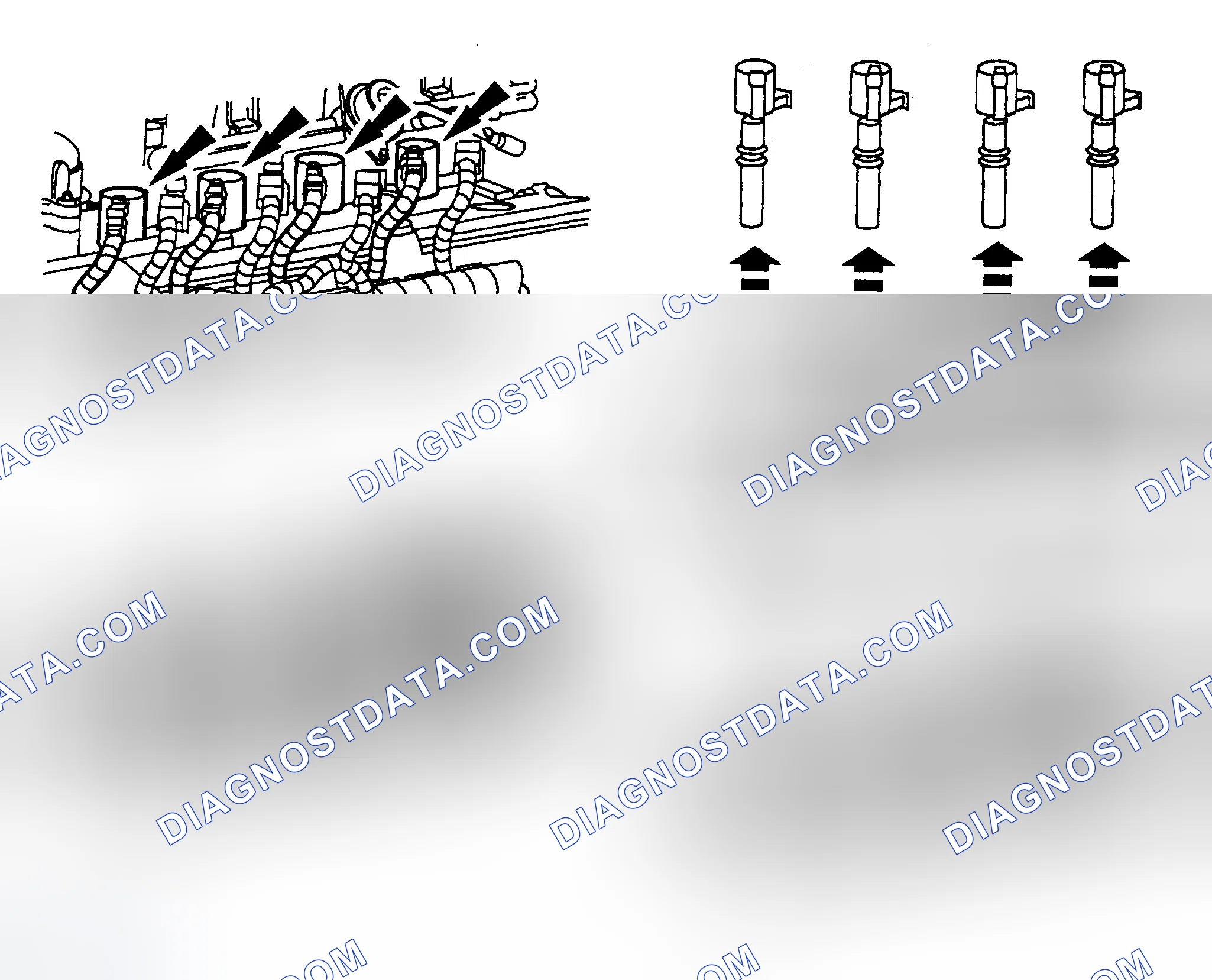 Scheme 4: Spark Plug Coils (4.6L Coil On Plug)
