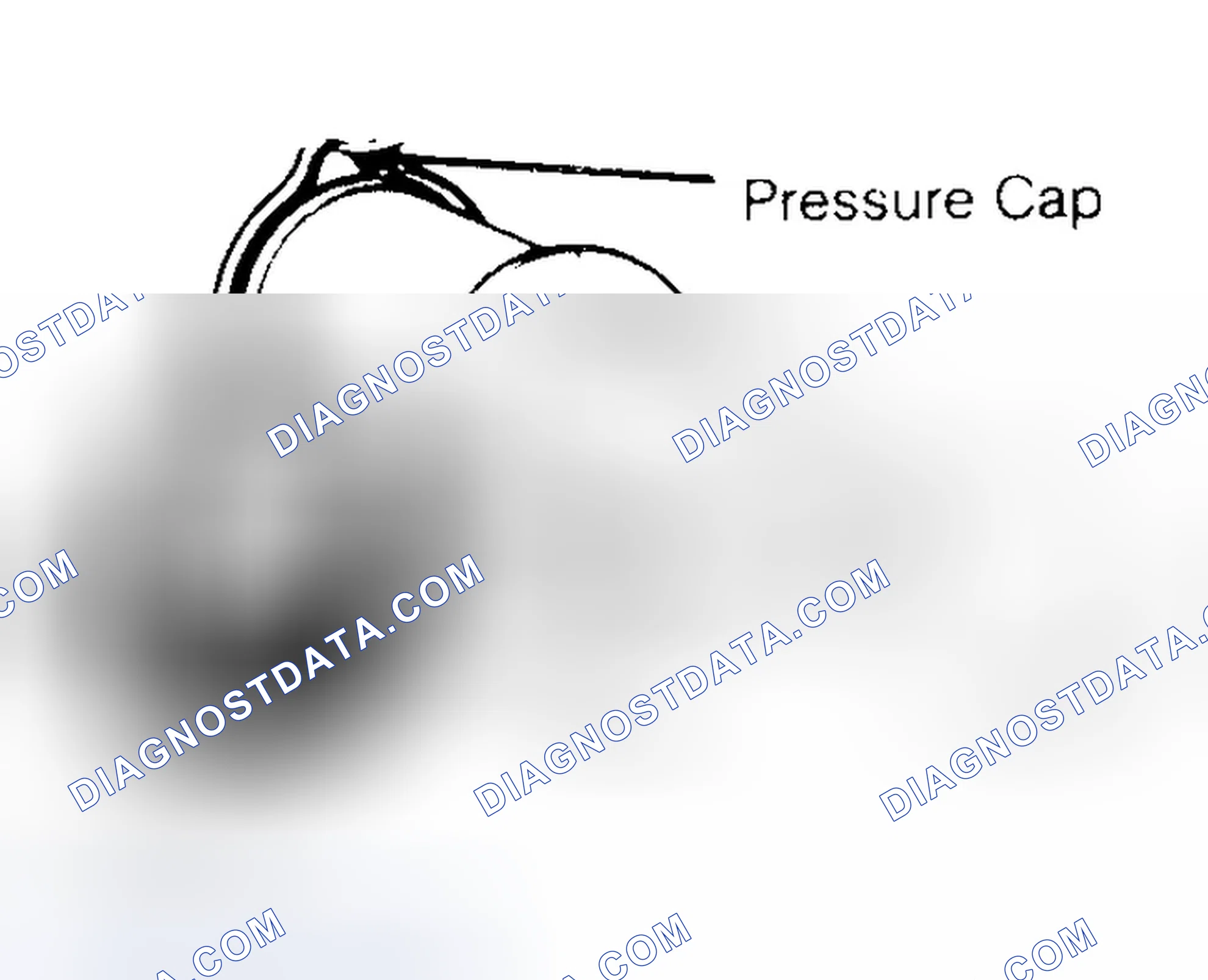 Scheme 2: Pressure Testing Radiator Cap