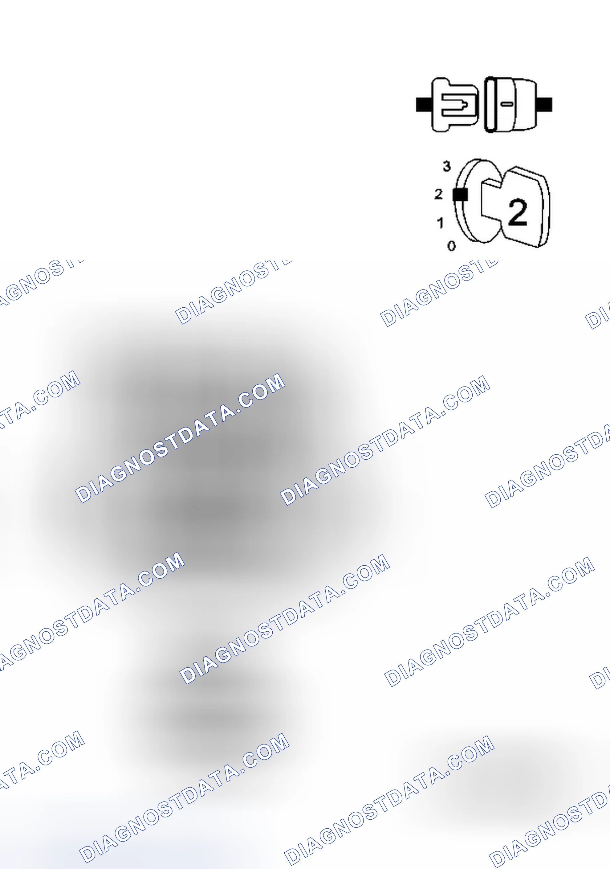 Scheme 27: Diagnostic Test