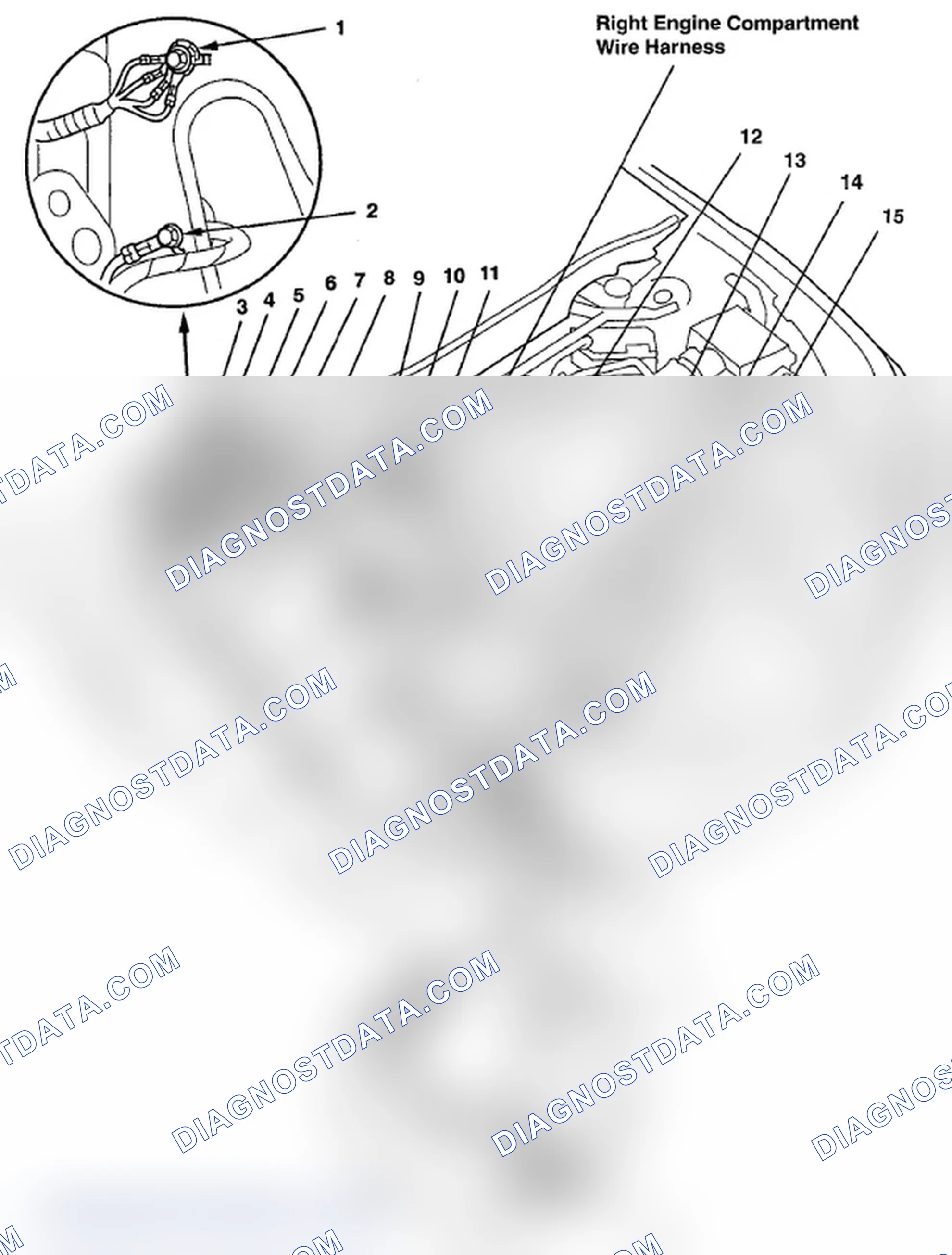 Scheme 519: Identifying Right Engine Compartment Wire Harness (Page 203-21)