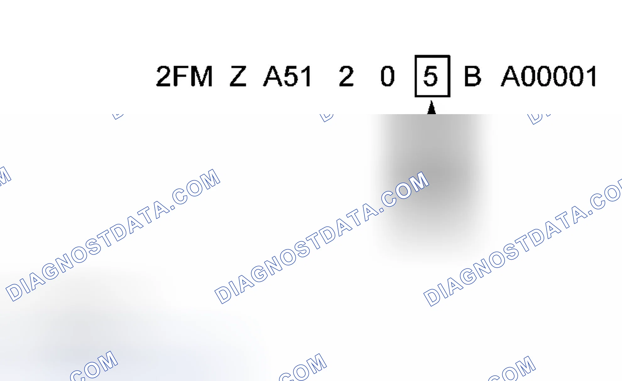 Scheme 8: Model year