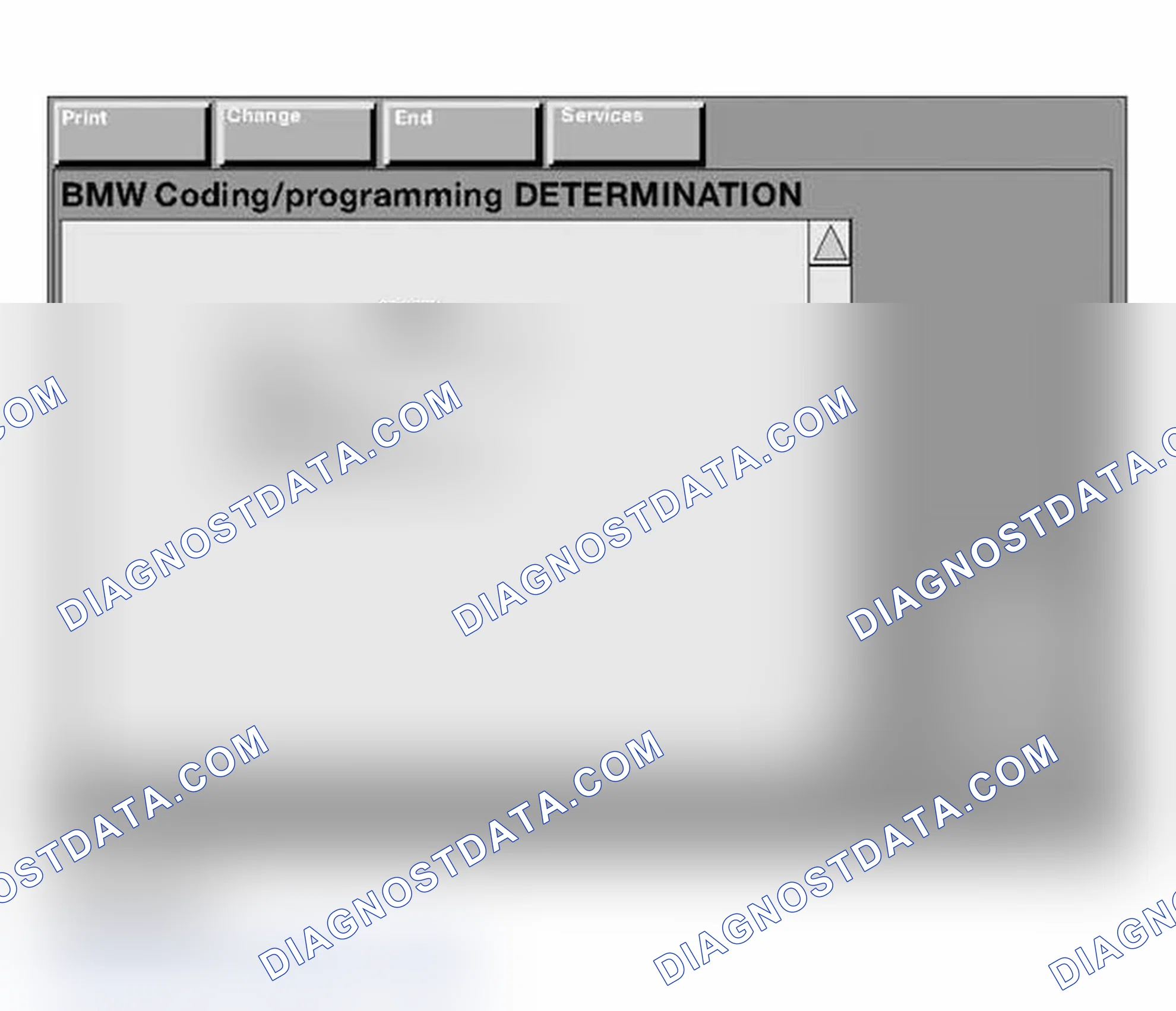Scheme 206