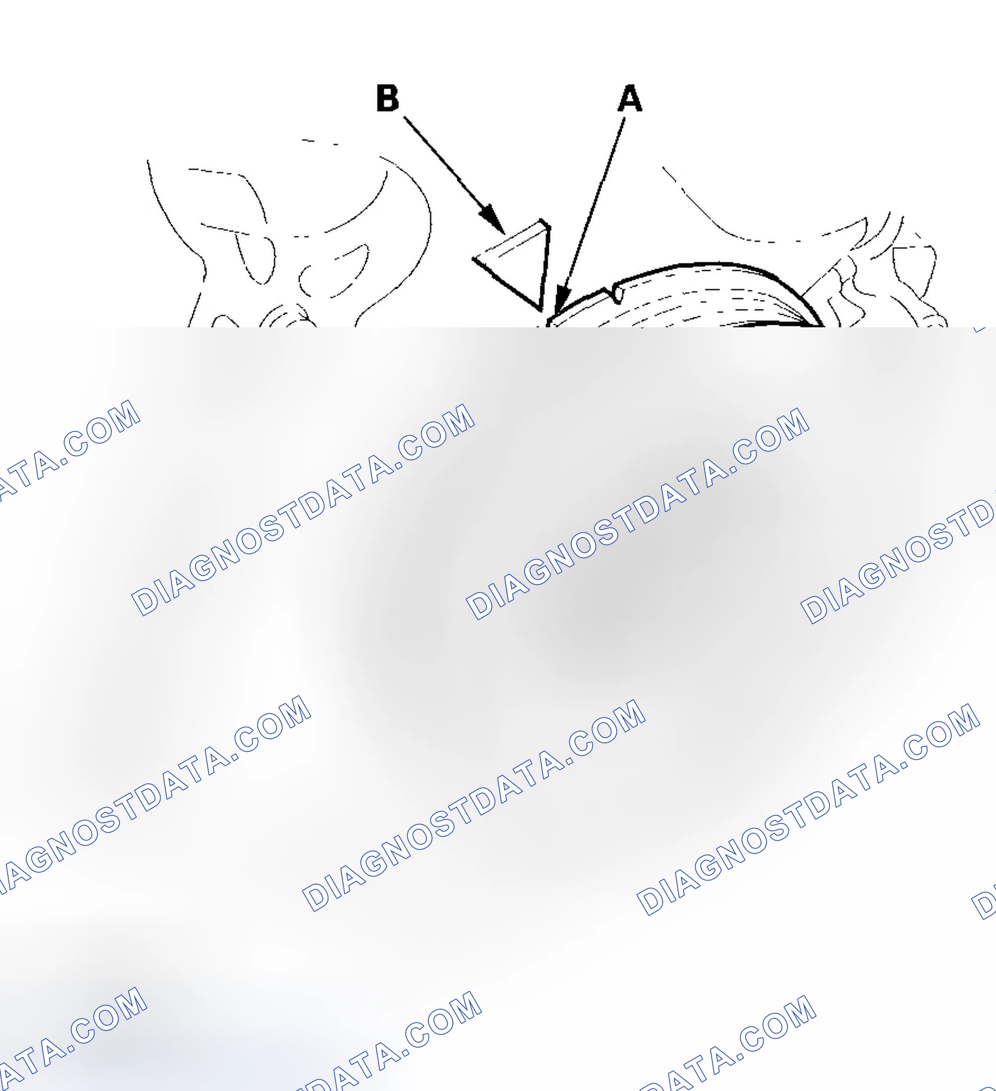 Scheme 161