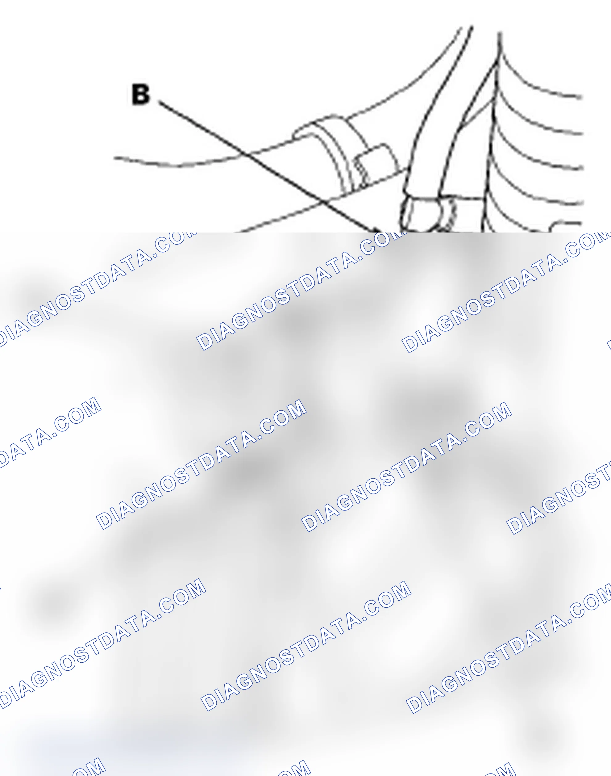 Scheme 429