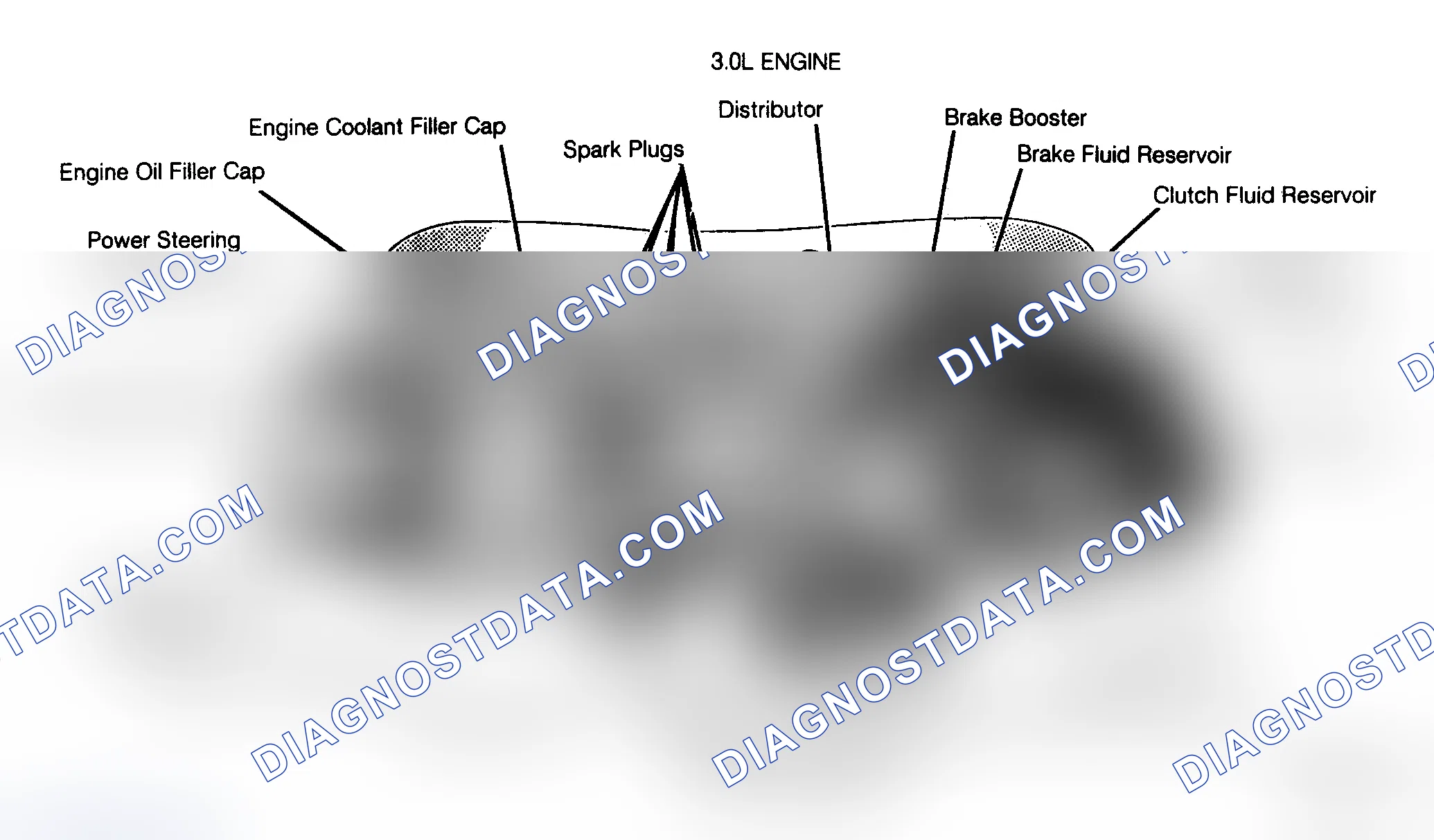 Scheme 7