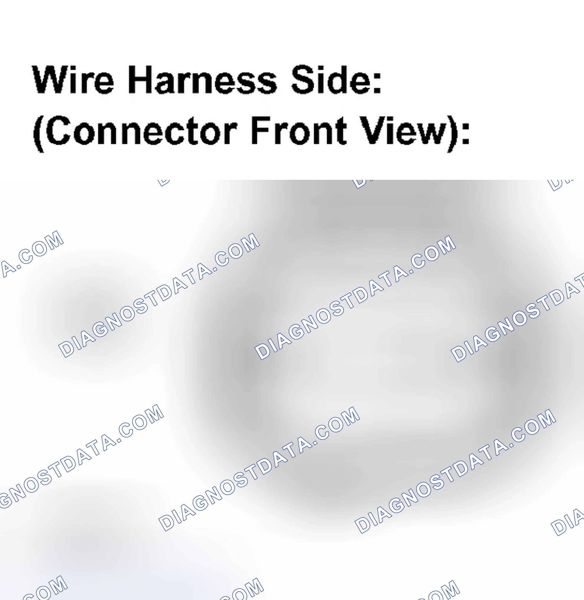 Scheme 265: INSPECTION PROCEDURE