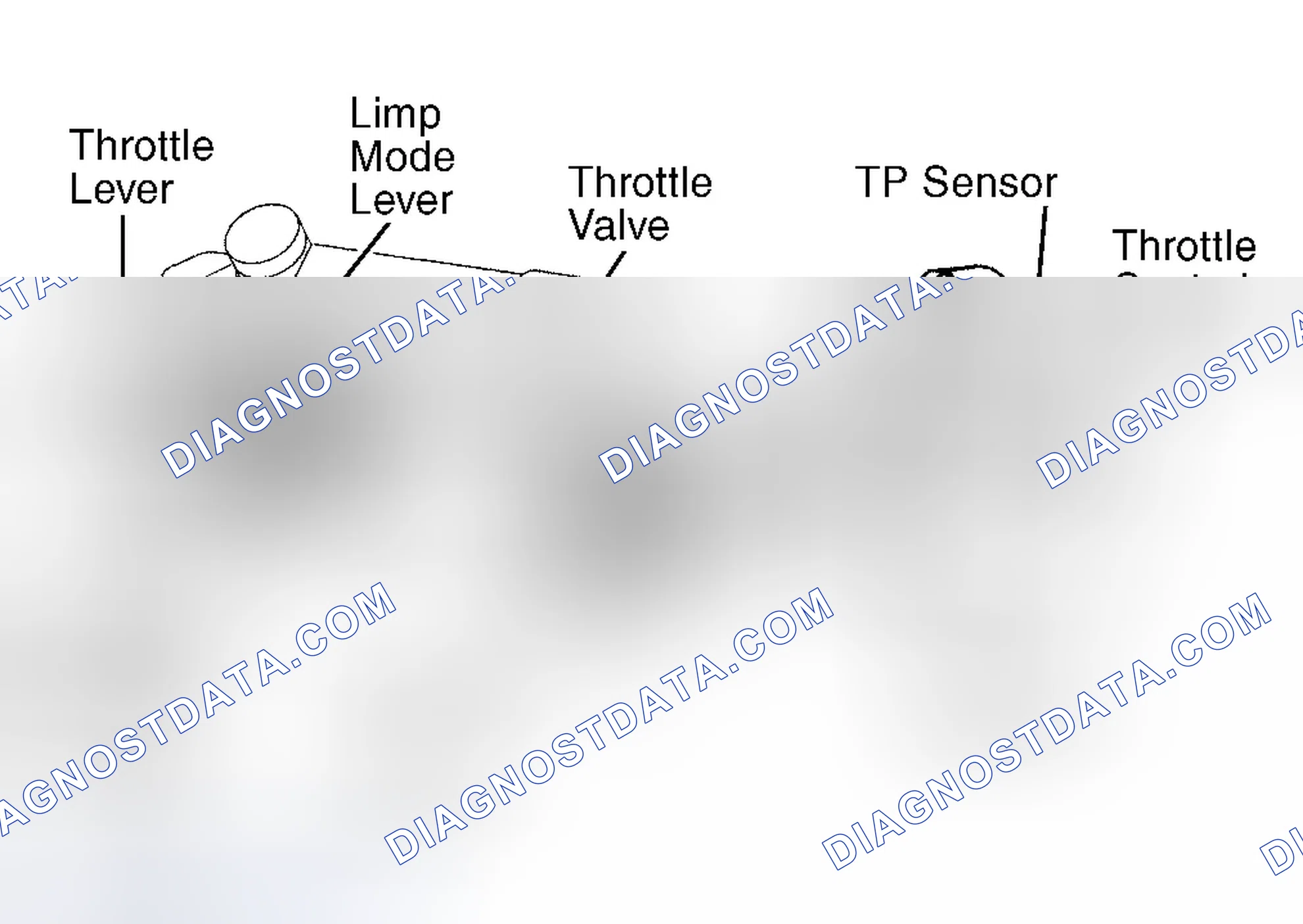 Scheme 6: Land Cruiser, Sequoia & Tundra 4.7L V8