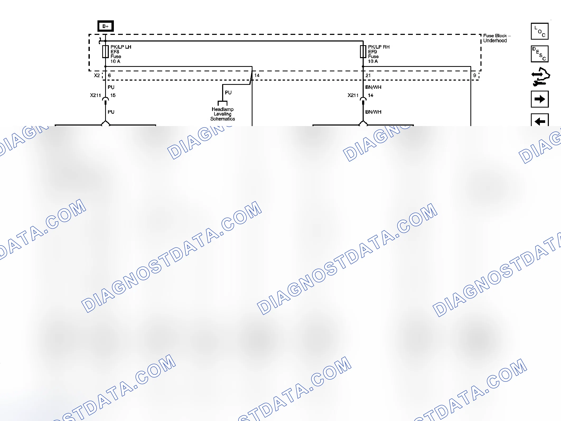 Scheme 5