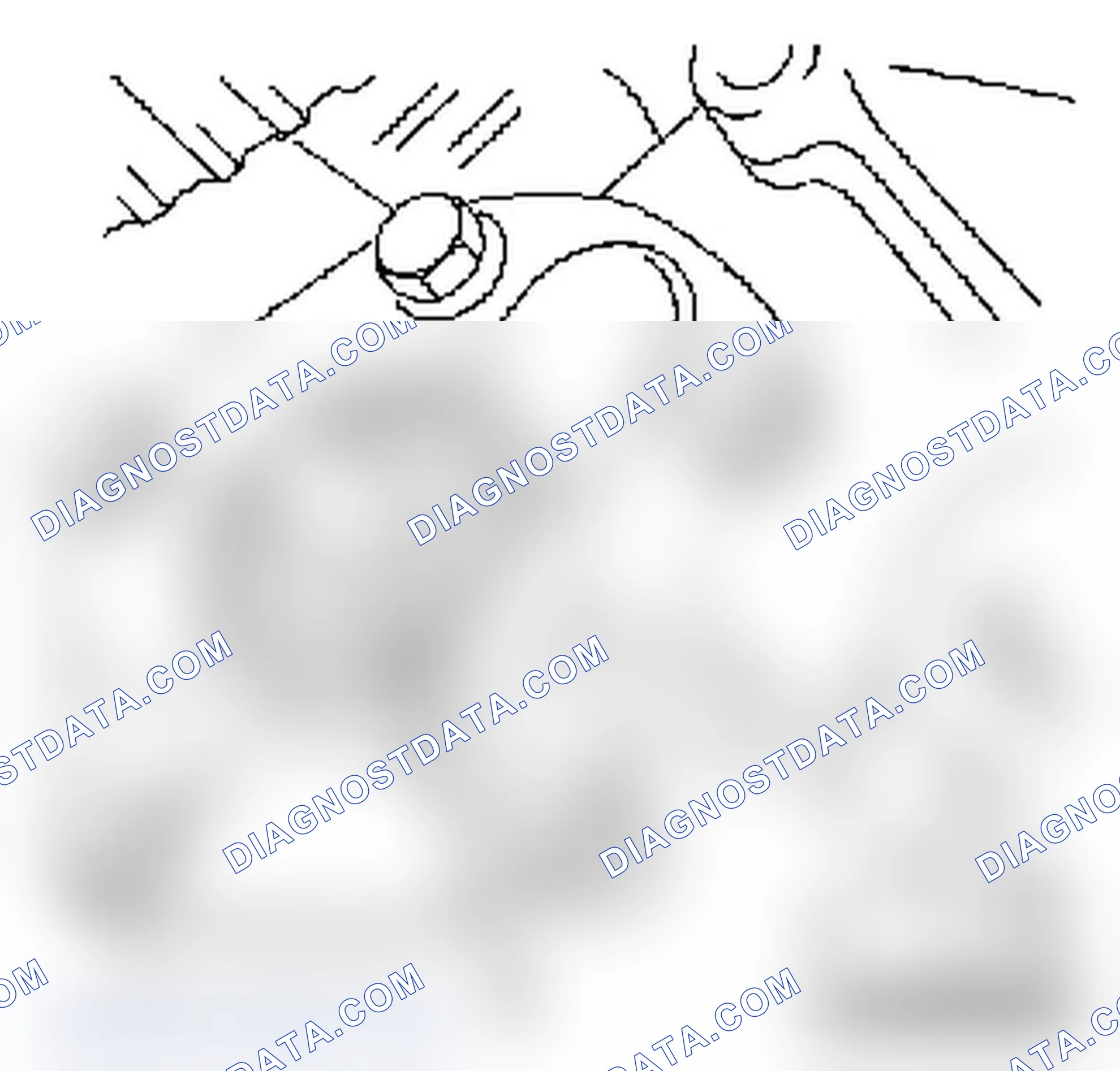 Replace Oil Pump Seal Ring-