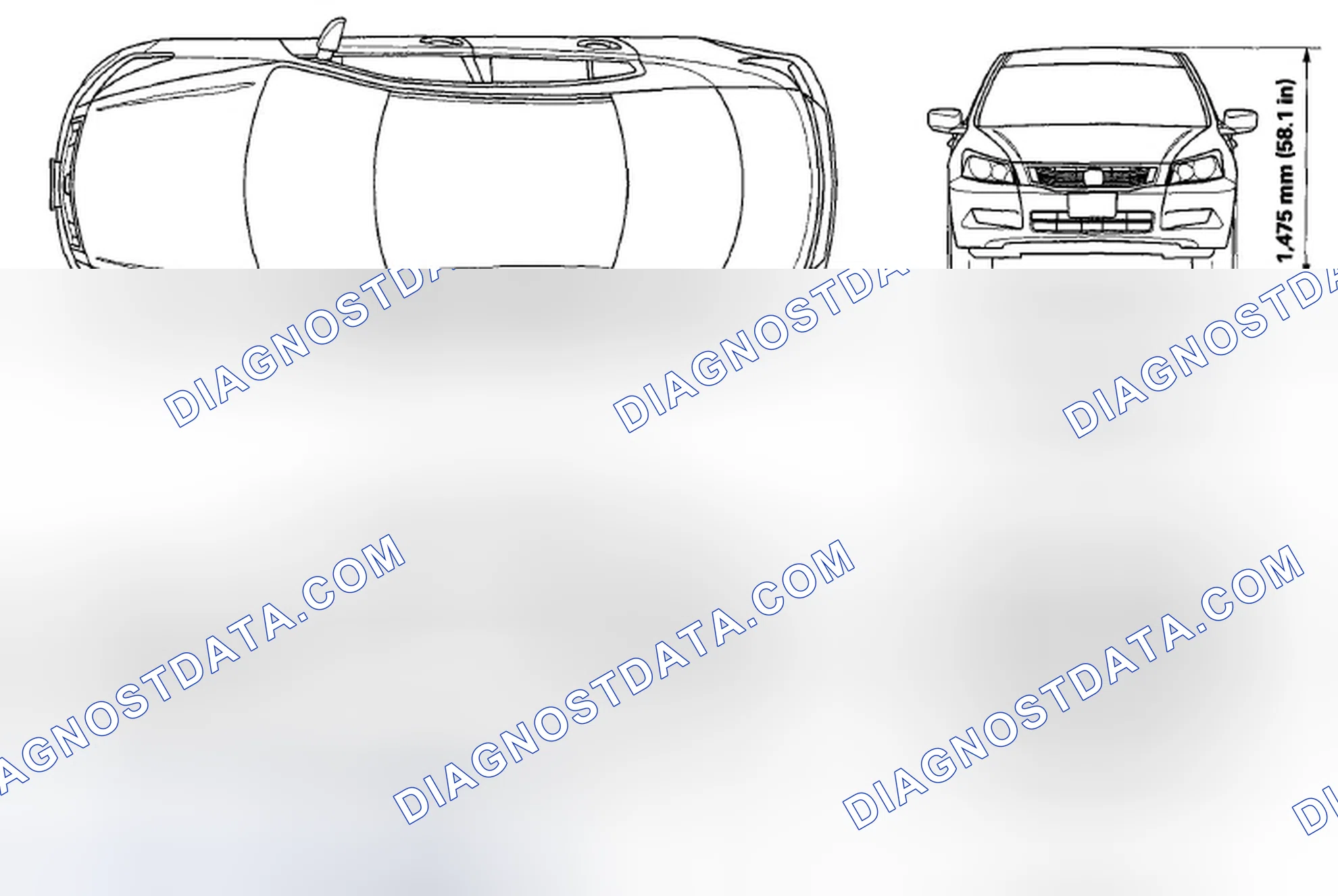 Scheme 1: Body Specifications