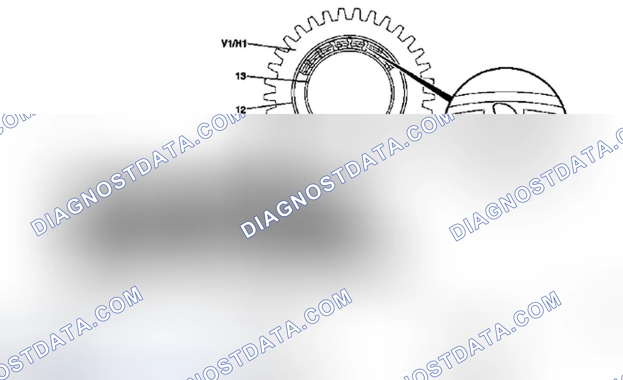 Scheme 357: Identifying Freewheel Components Function