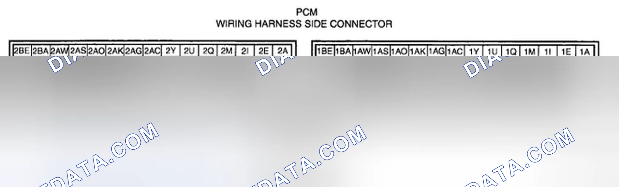 Scheme 76: PCM inspection preparation