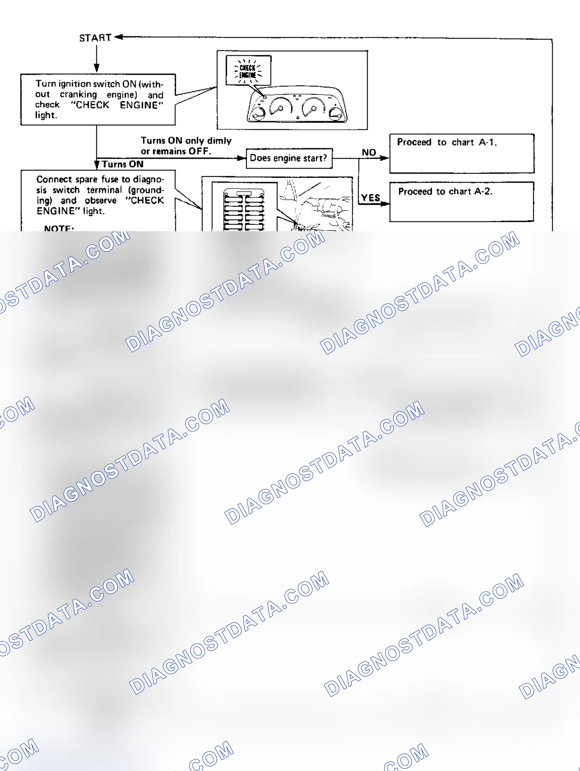 Scheme 13: INITIAL DIAGNOSTIC PROCEDURE