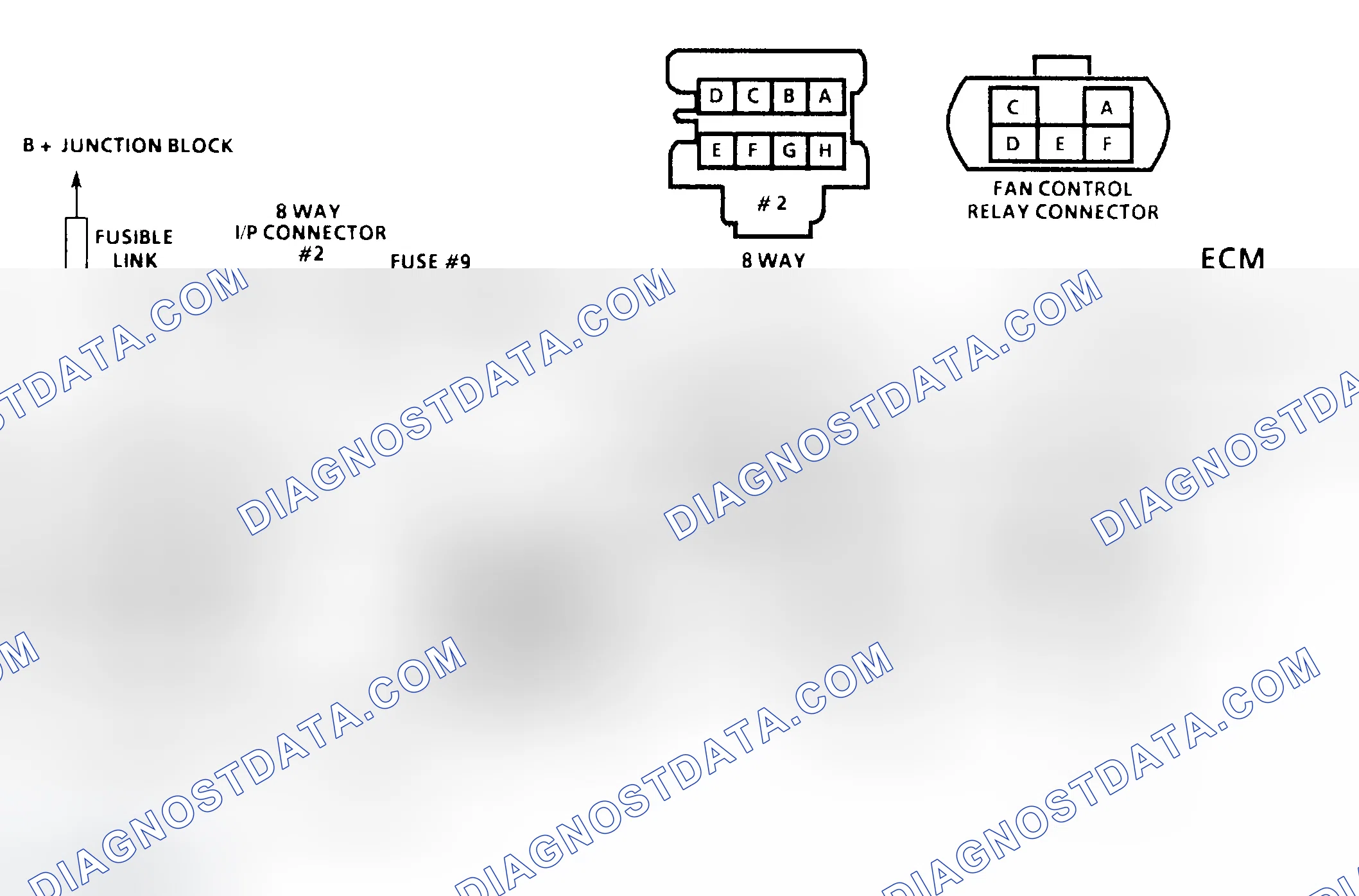 Scheme 45: Diagnostic Aids