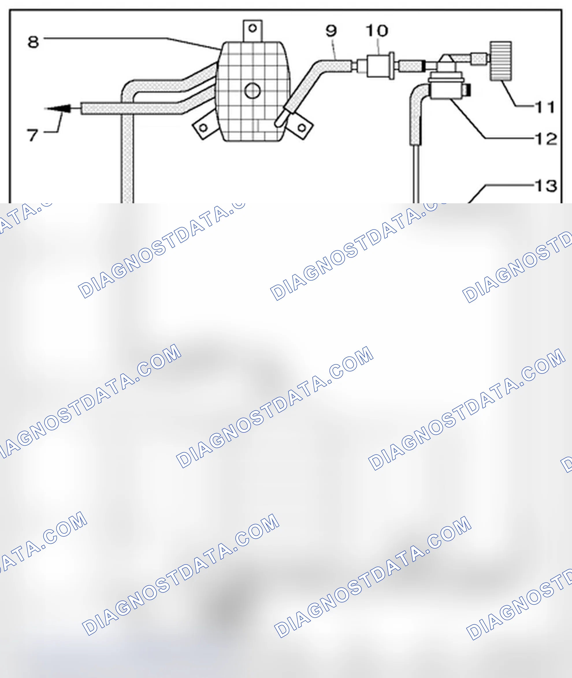 Scheme 165: Hose routing, EVAP canister/leak detection system (6-cyl. FSI-engine)