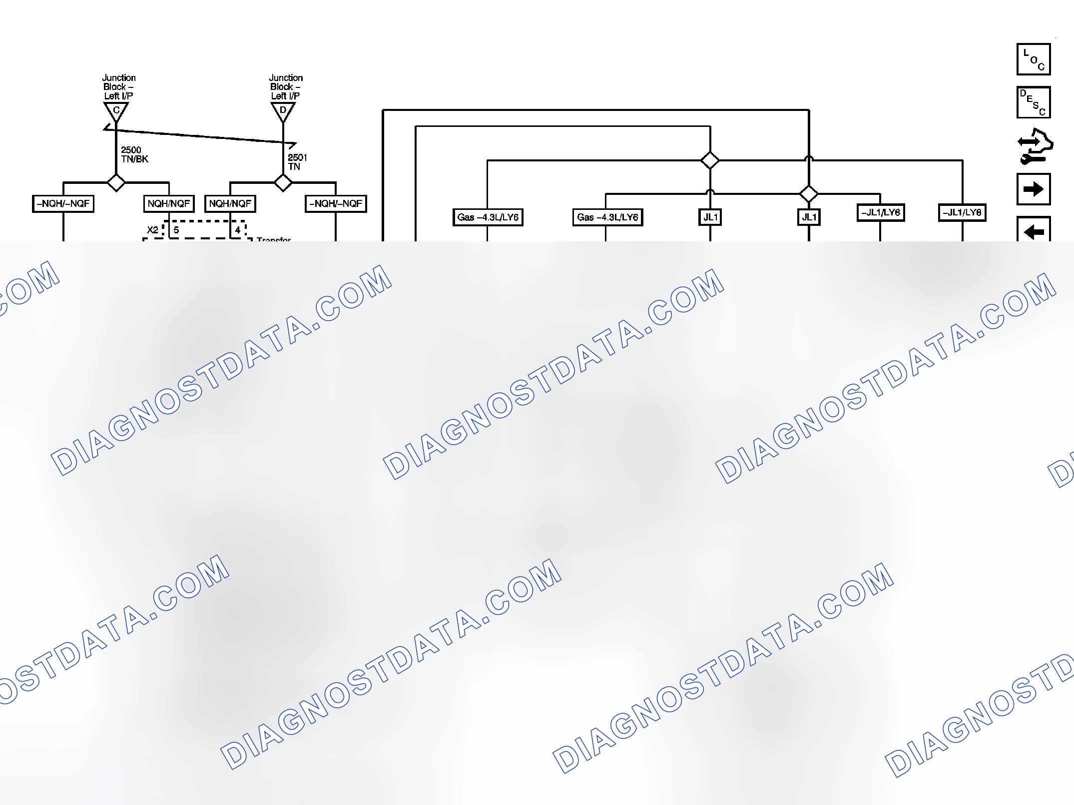 Scheme 5