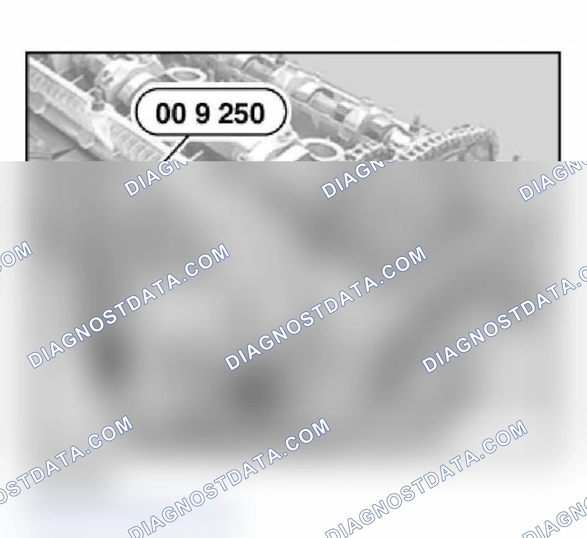Scheme 893