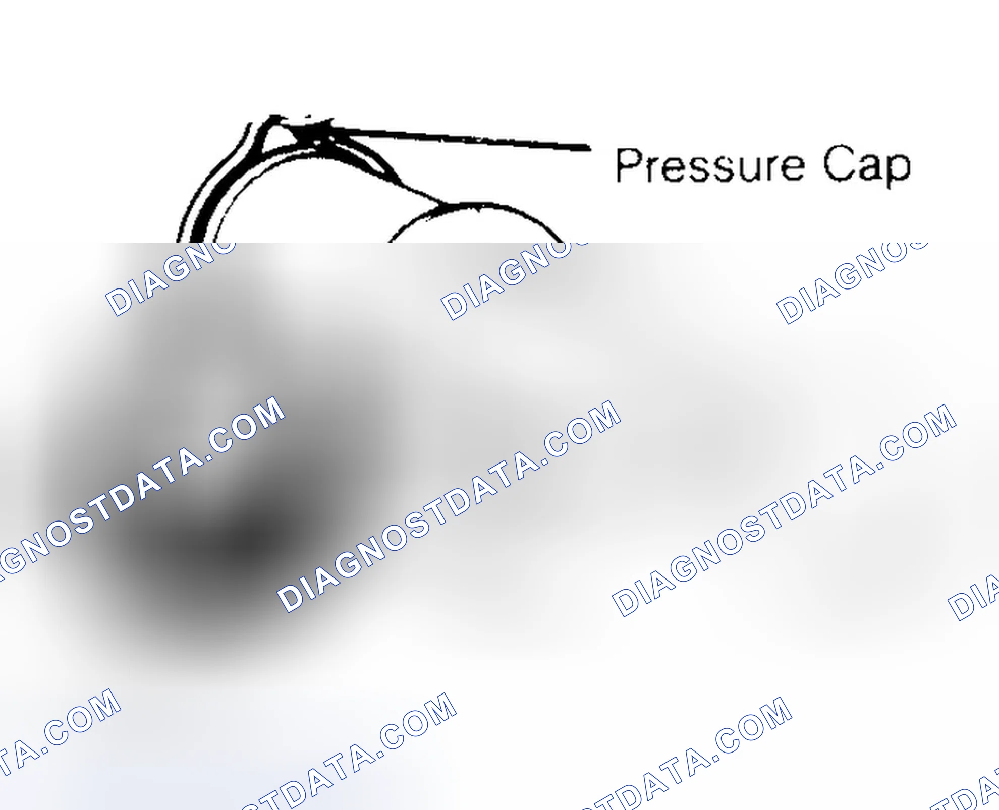 Scheme 2: Pressure Testing Radiator Cap