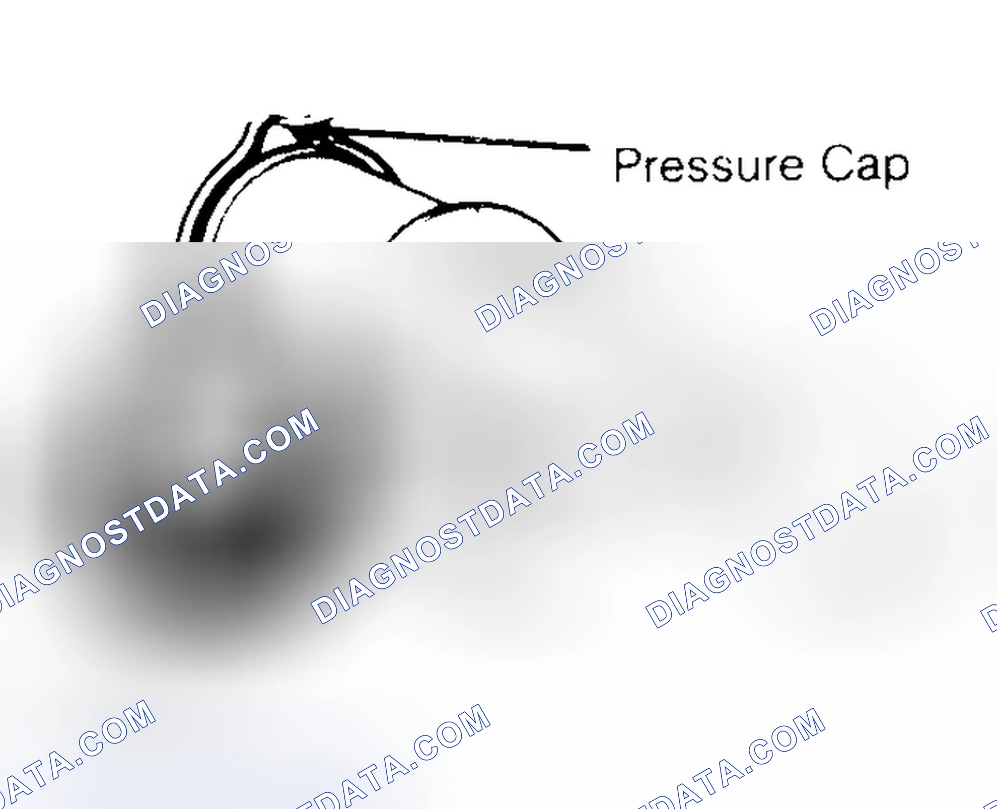 Scheme 2: Pressure Testing Radiator Cap