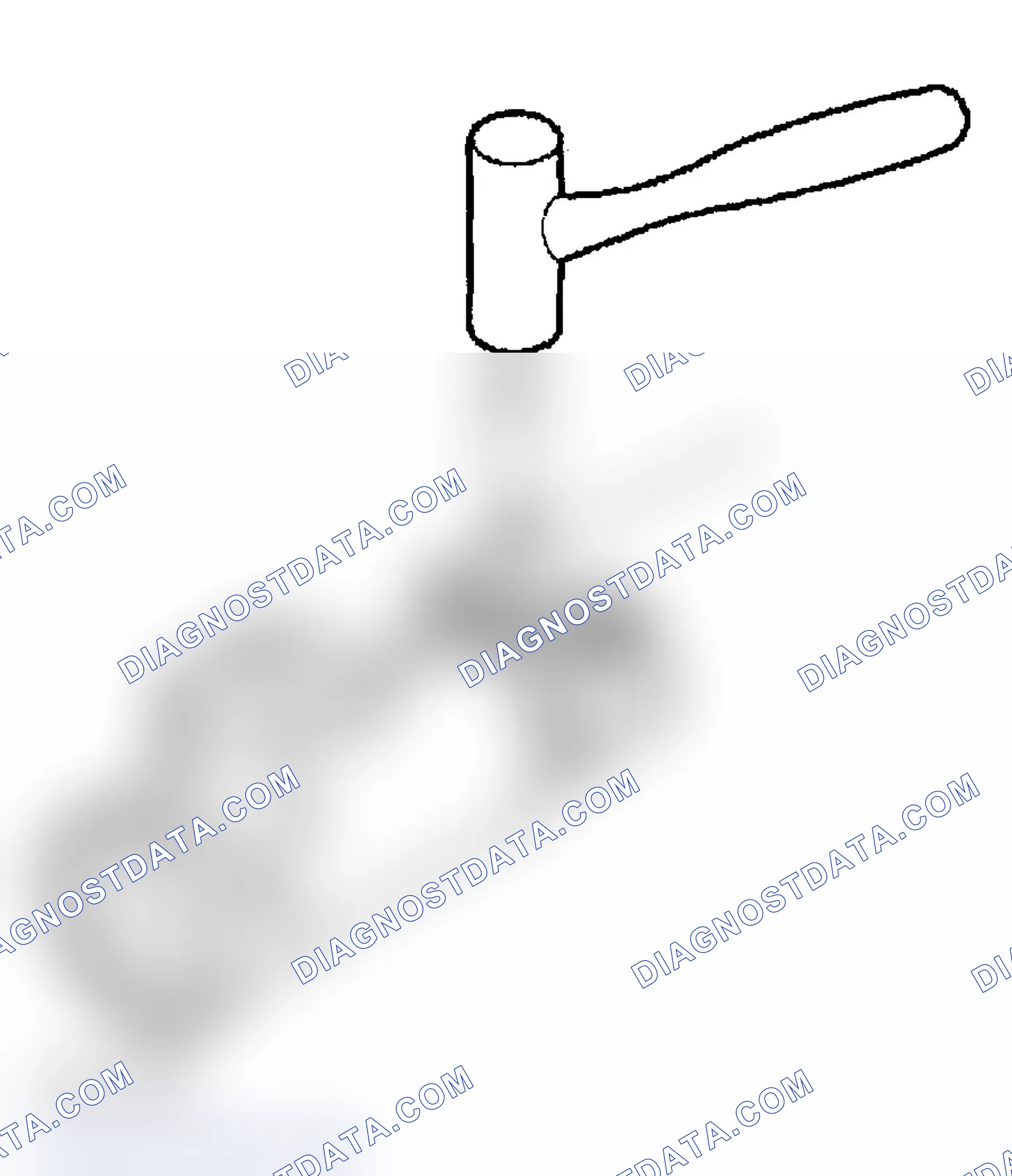 Scheme 204: Assembly Procedure