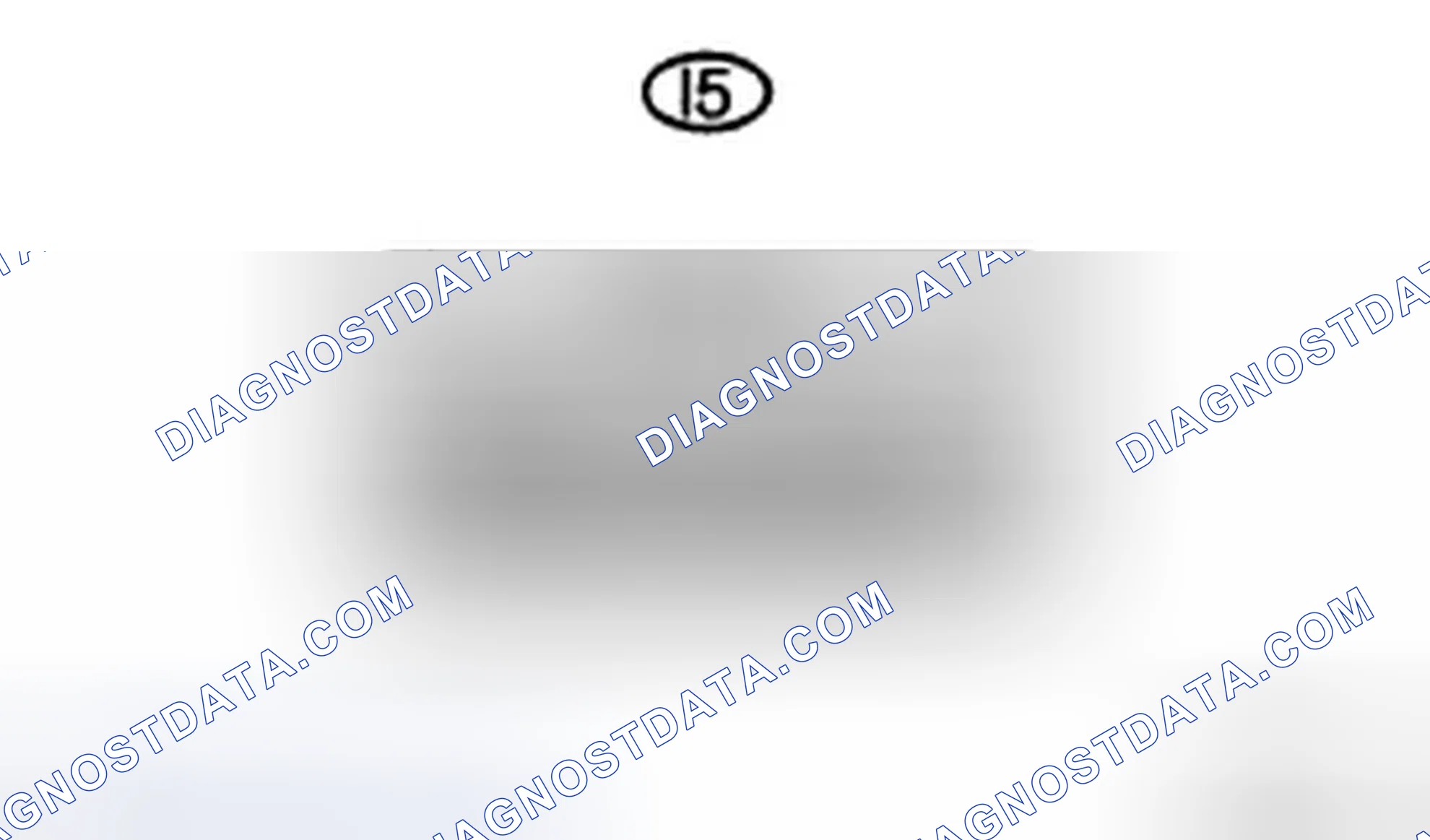 Scheme 2: INSPECTION PROCEDURE