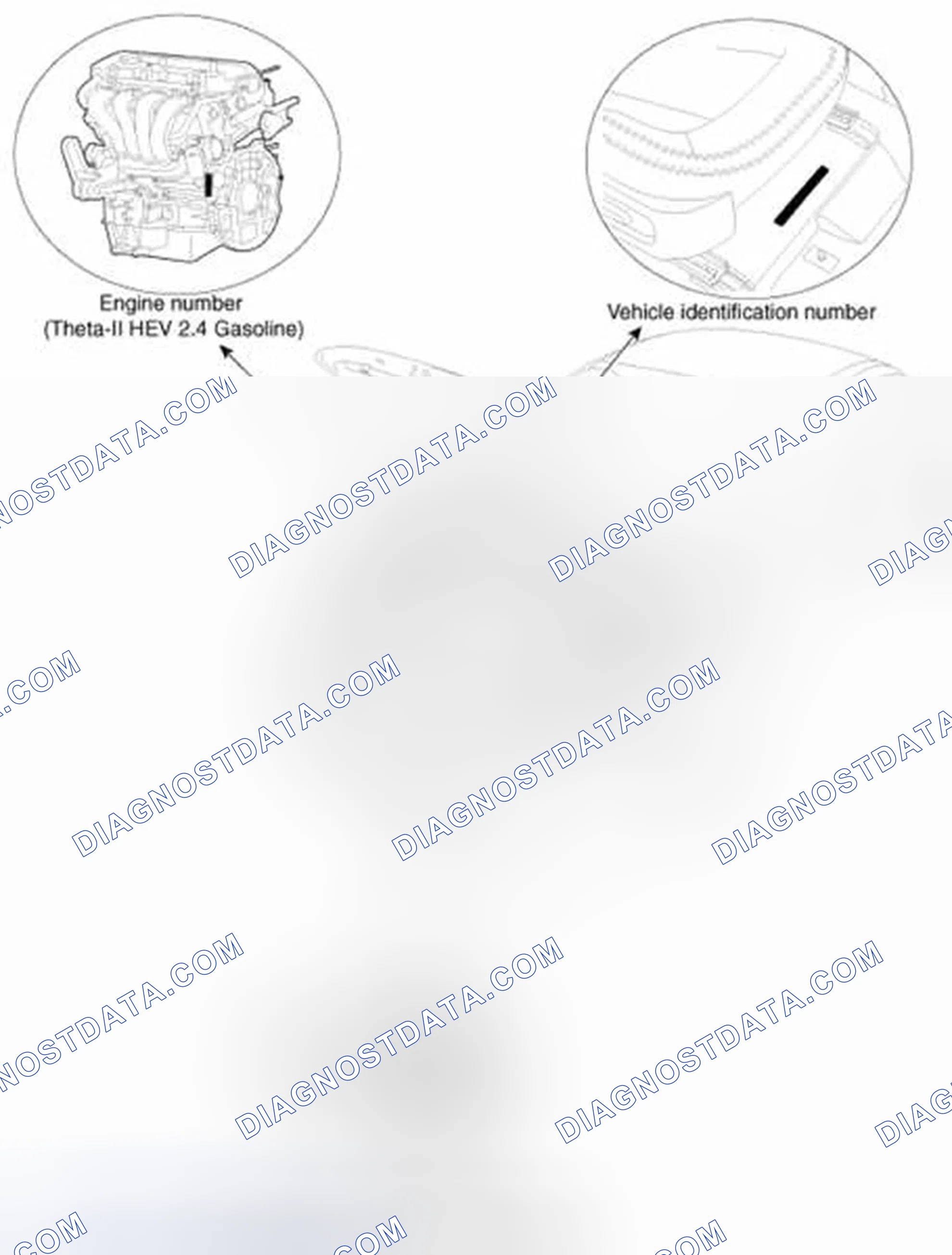 Scheme 21: Identification Number Locations