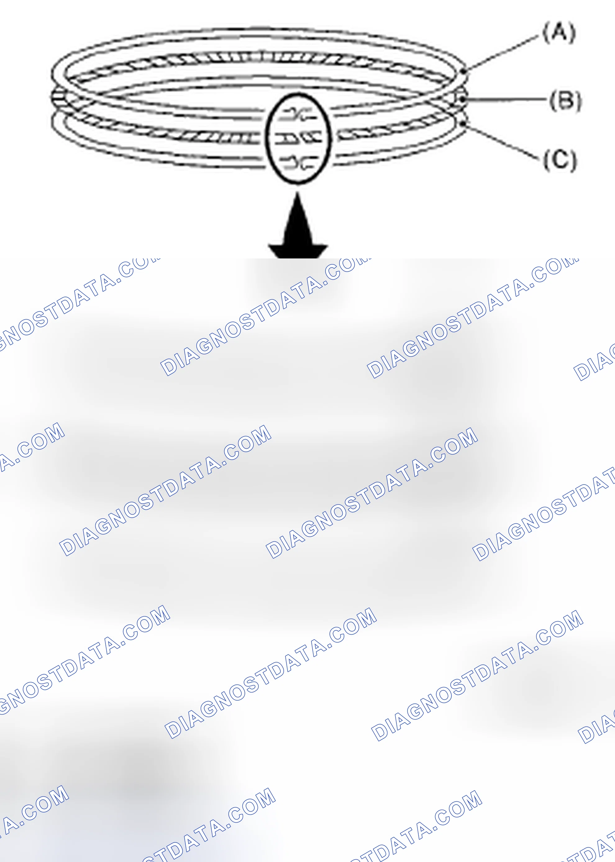 Scheme 462: PISTON RING