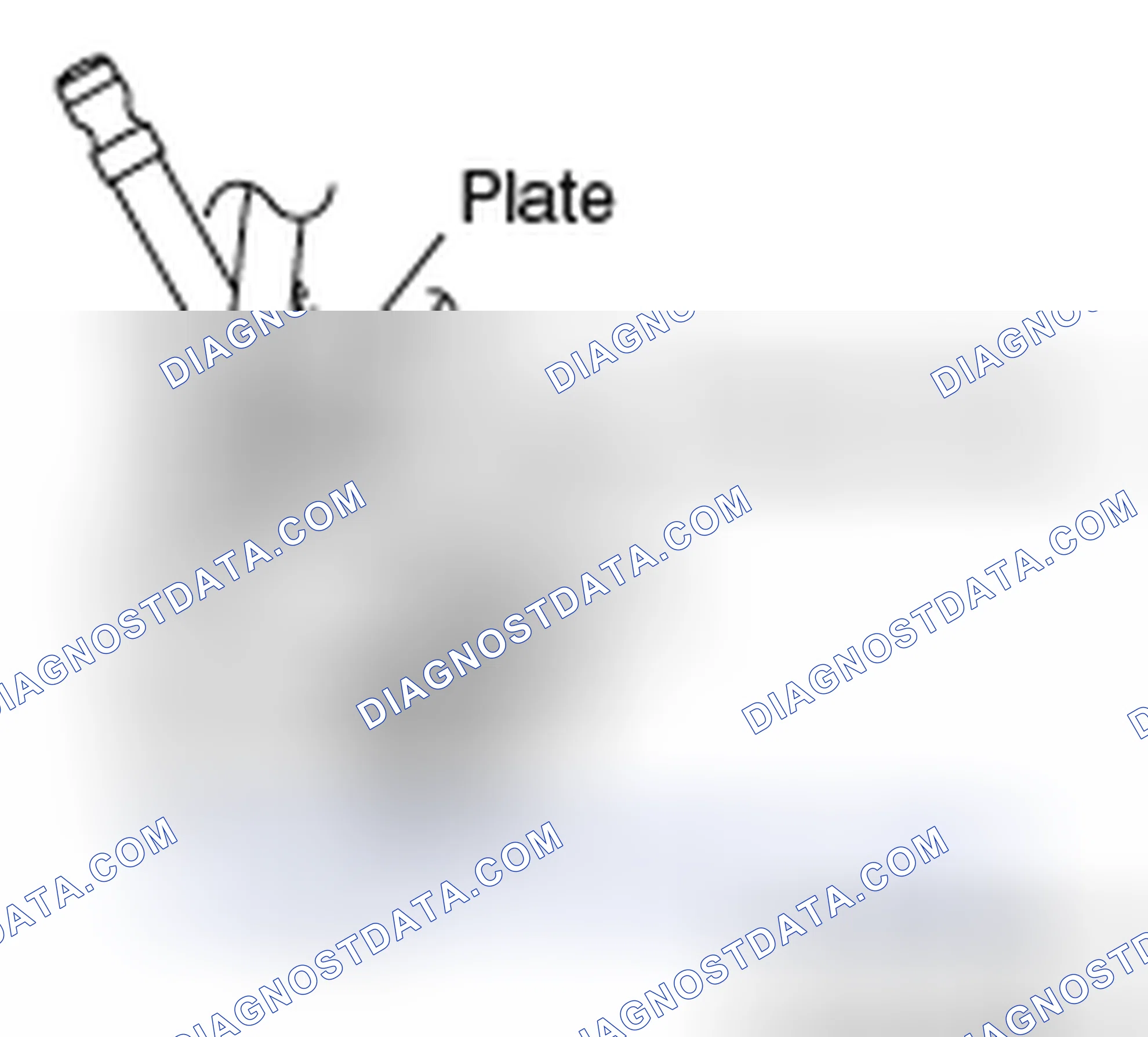 Scheme 33: >> C << PRESSURE HOSE INSTALLATION