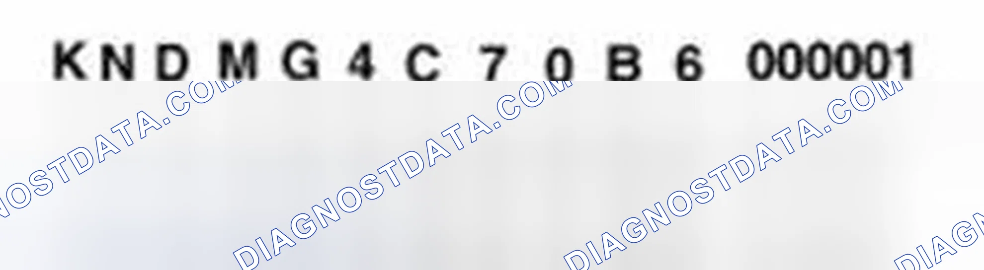 Scheme 4: Vehicle Identification Number